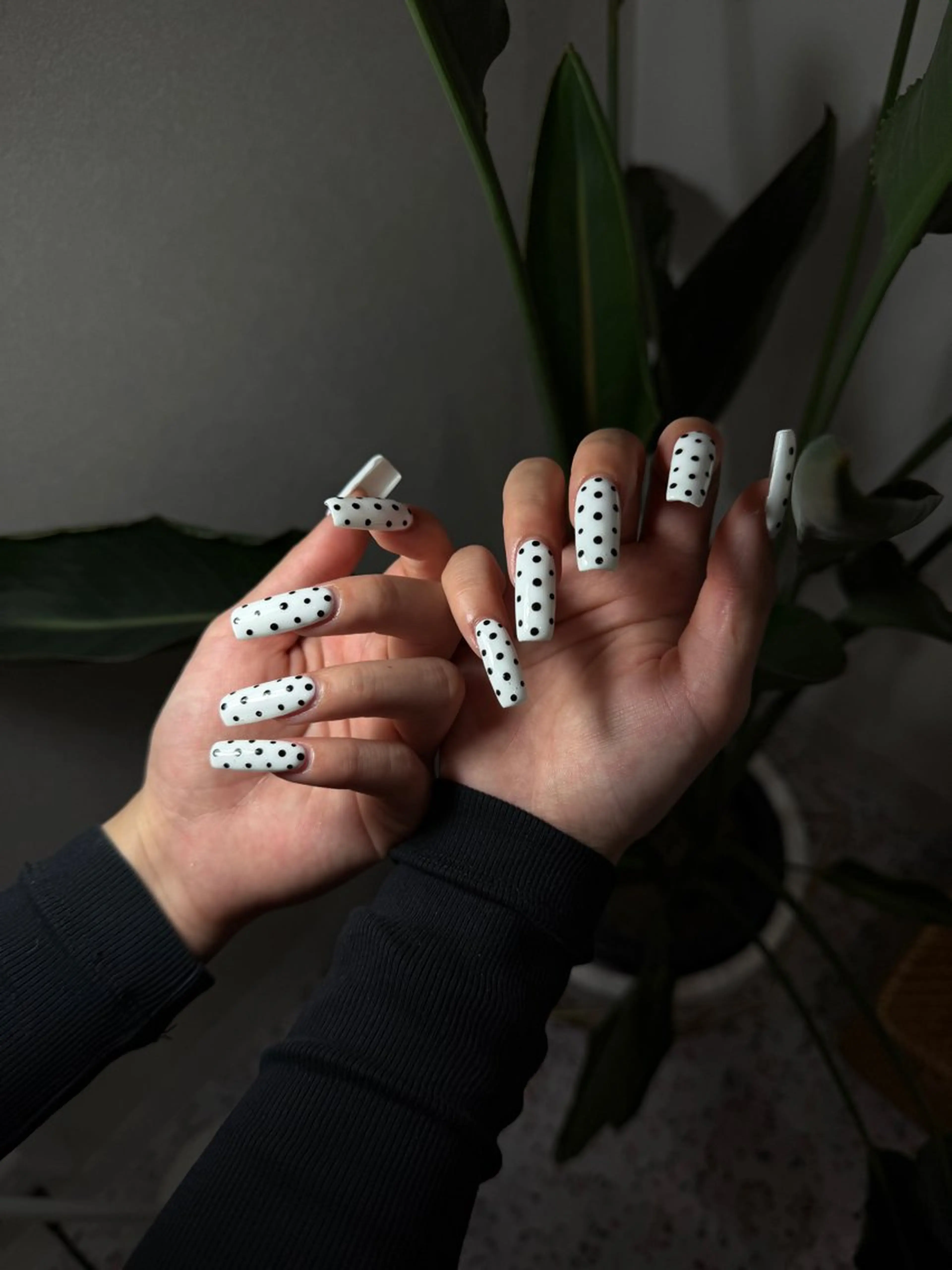 【定額メニュー・フィルイン込】ドットネイル🖤の写真