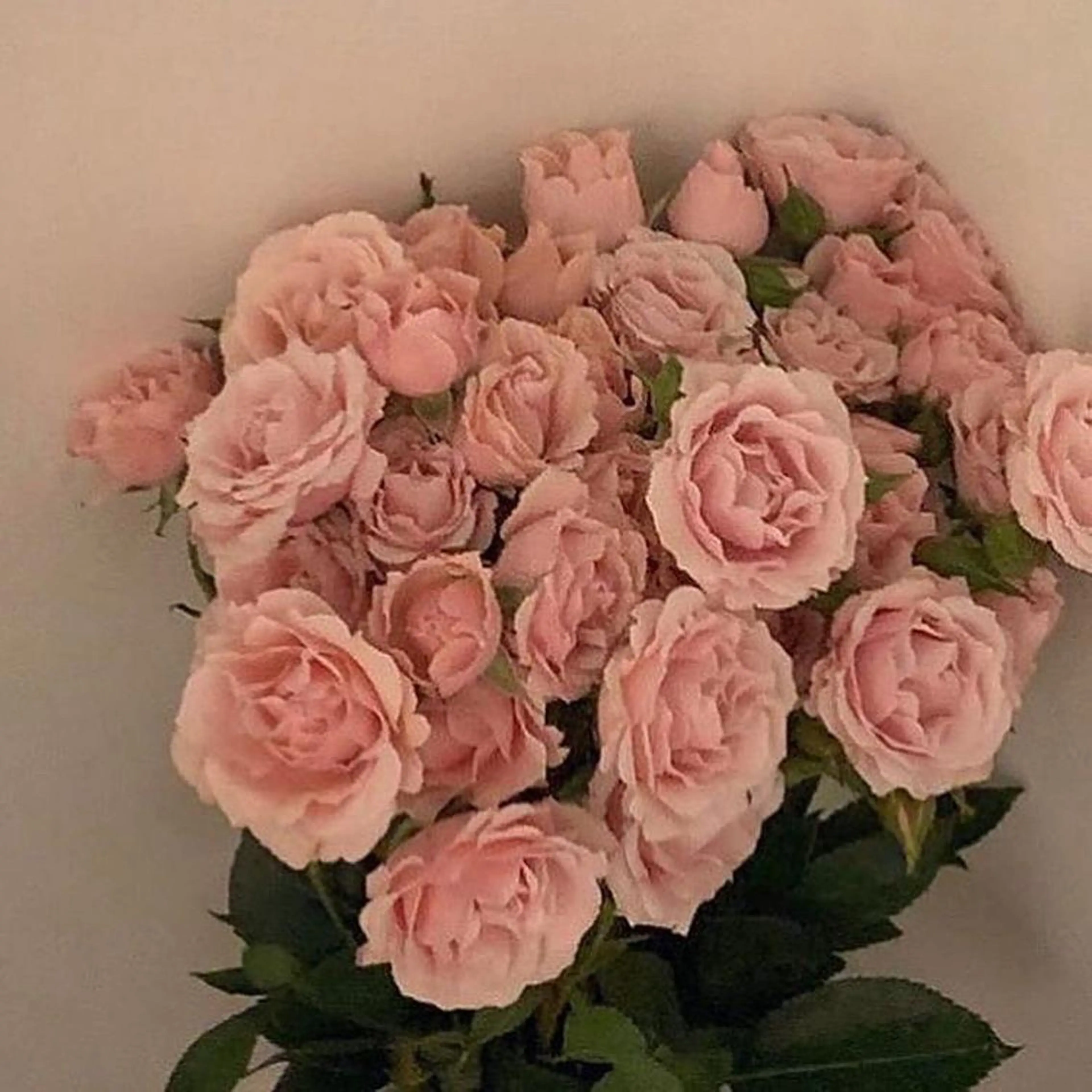 セミロング カラー アッシュ ベージュカラー 黒髪 ブルーカラー ブルーブラック カット ヘアカラー トリートメント ヘッドスパ ヘアセット 透明感/韓国風 🤍moeka🤍のヘアスタイル