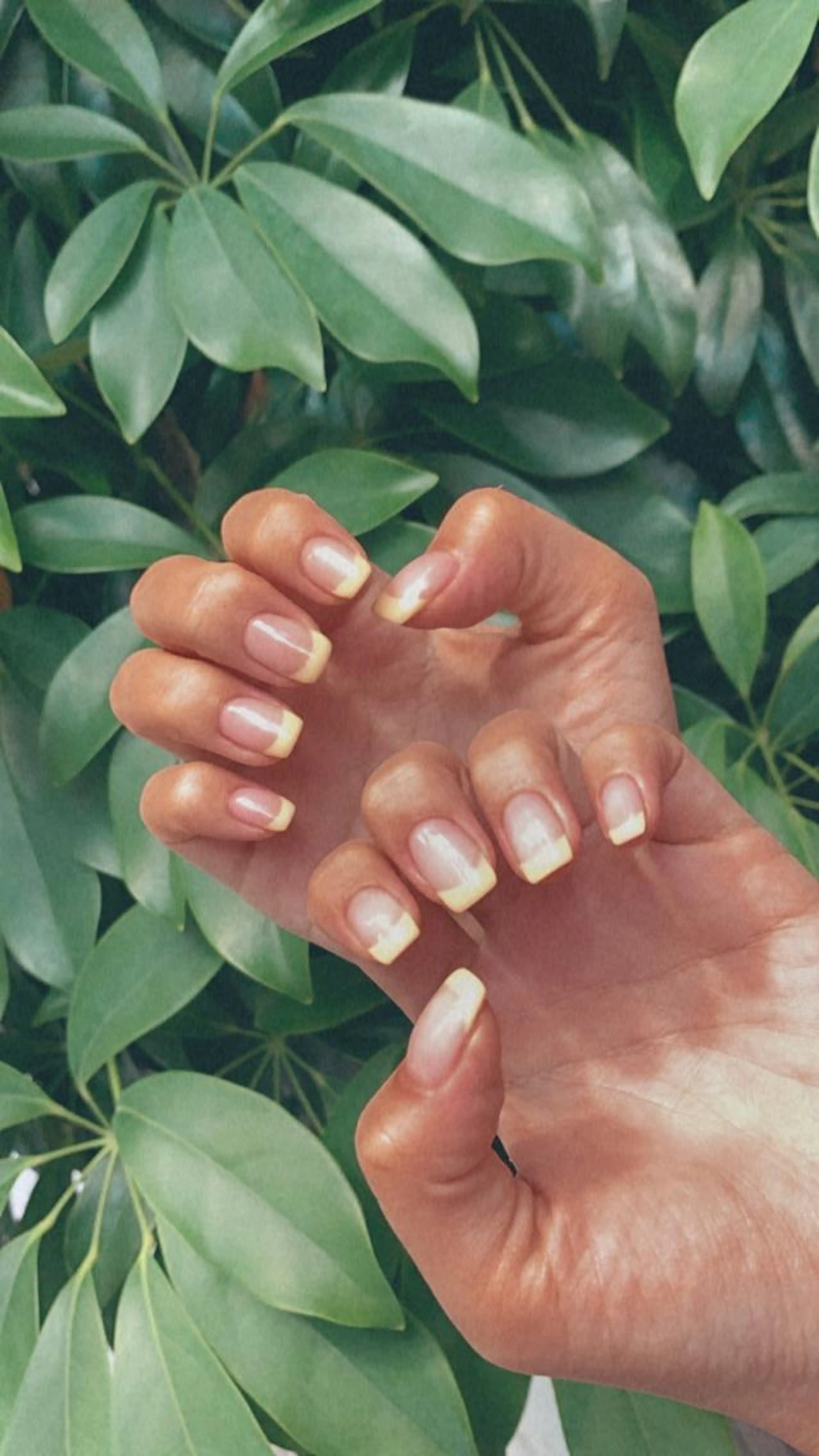 ご新規様オフ無料✨フレンチネイル💅の写真