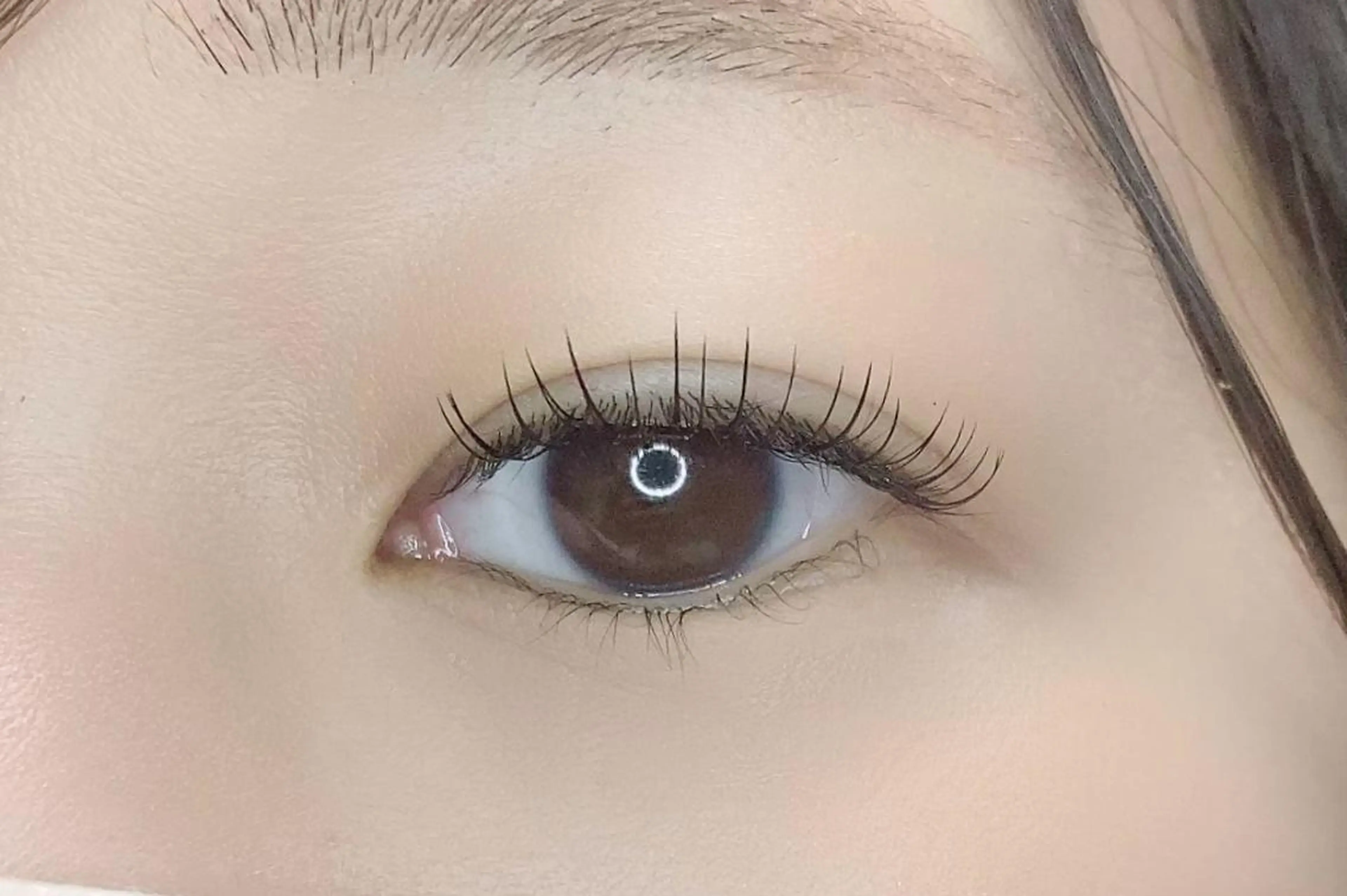 マツエク・マツパ ナチュラル eyelash "Koa"🕊🤎のマツエク・マツパデザイン