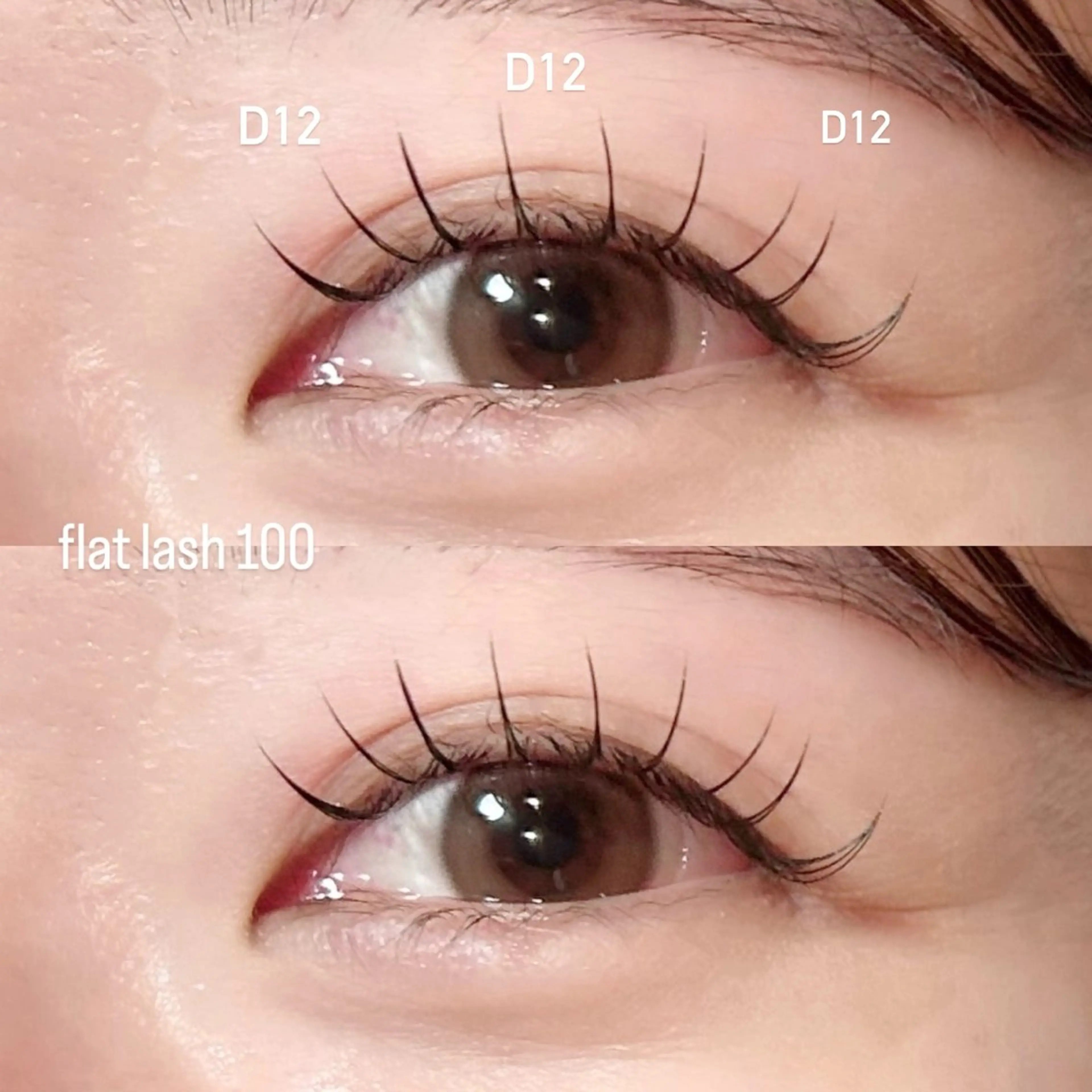 フラットラッシュ100本🪽🪄の写真