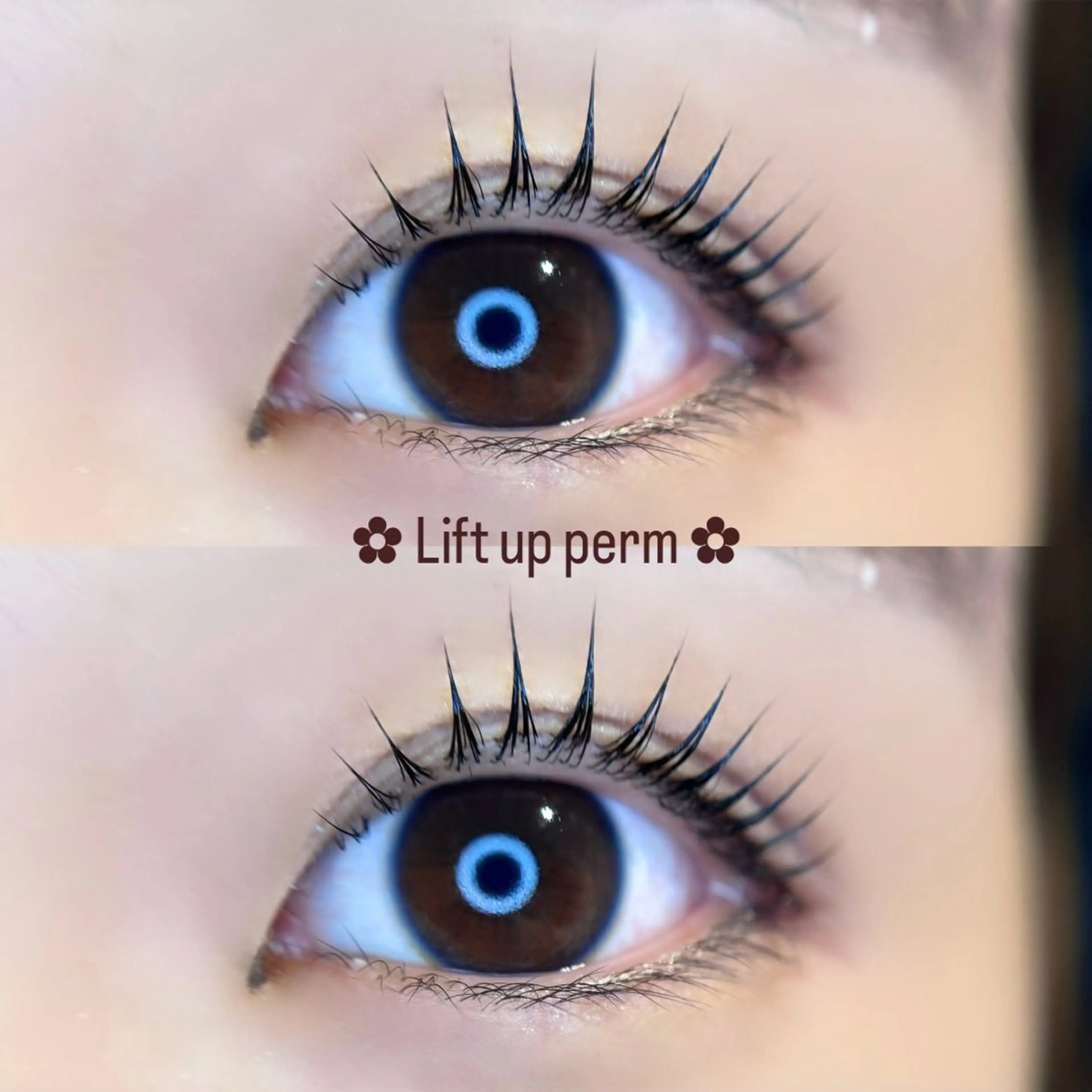 マツエク・マツパ arce -ｱﾙｾ- 🔅ヒマワリのマツエク・マツパデザイン