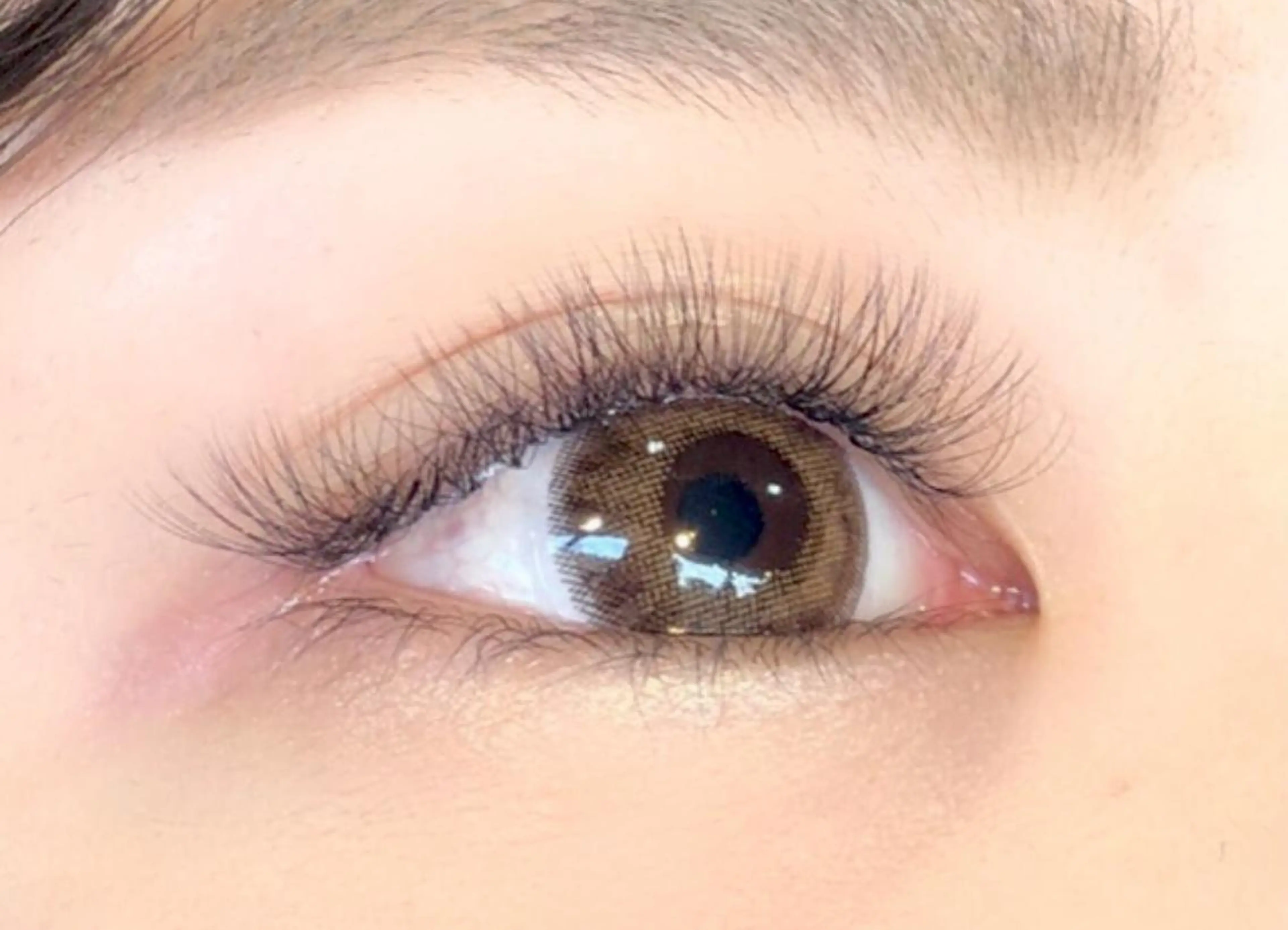 🎀2Dフェアリーラッシュ80束＋アイシャンプー付きの写真