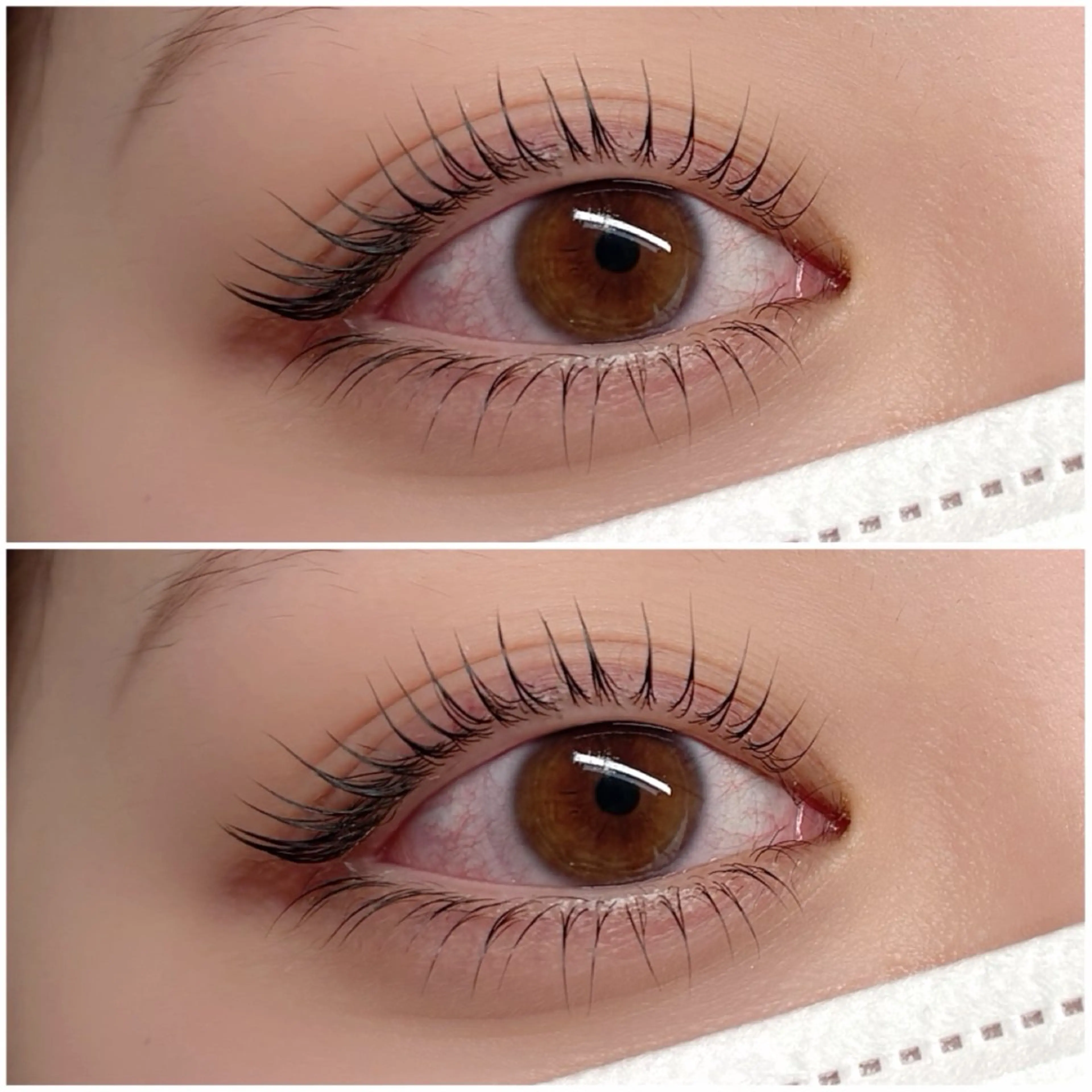 マツエク・マツパ Primus ﾌﾟﾘﾑｽのマツエク・マツパデザイン