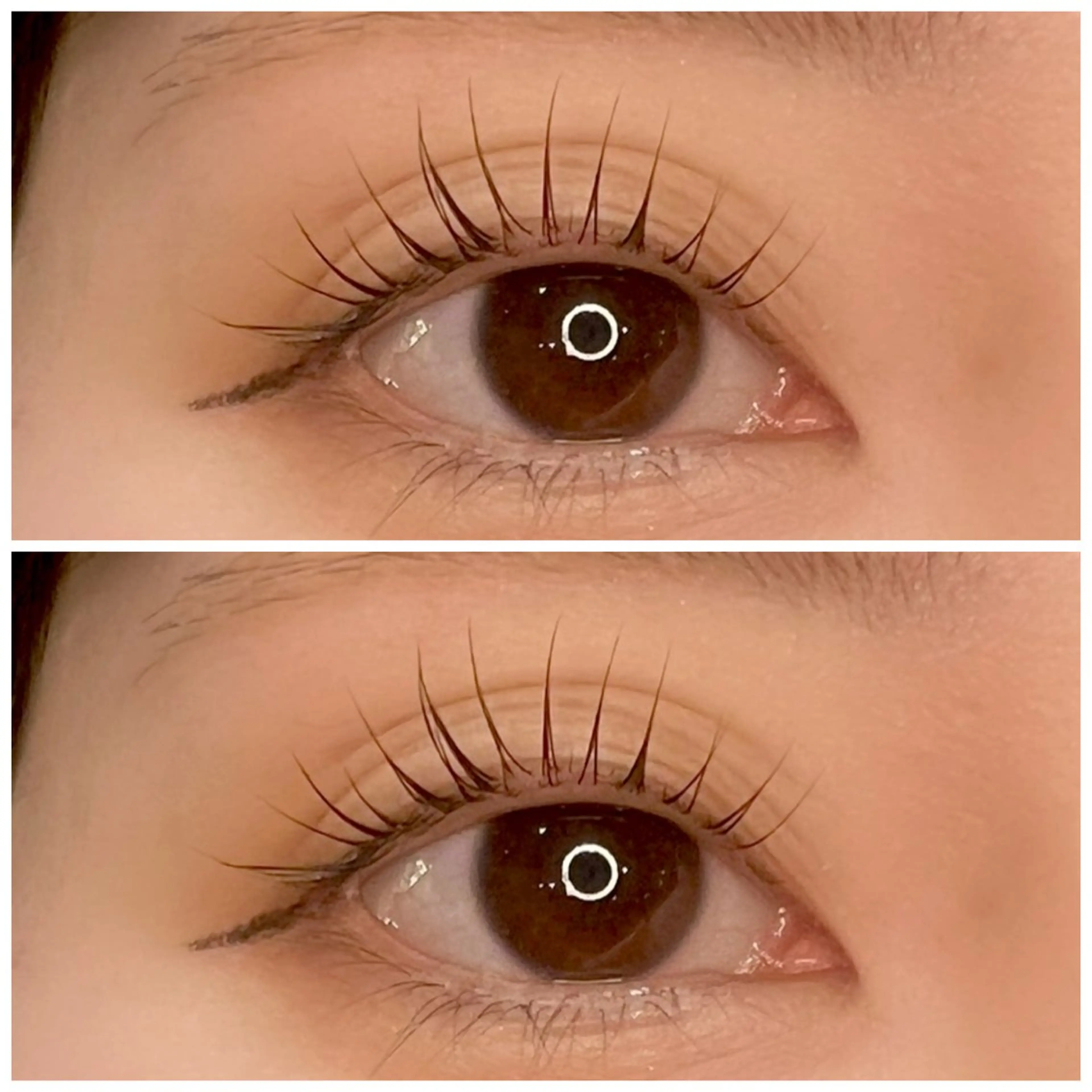 オフ無し⭐️パリジェンヌorデザインラッシュリフト♡まつ毛パーマアイシャンプー付き🌙の写真