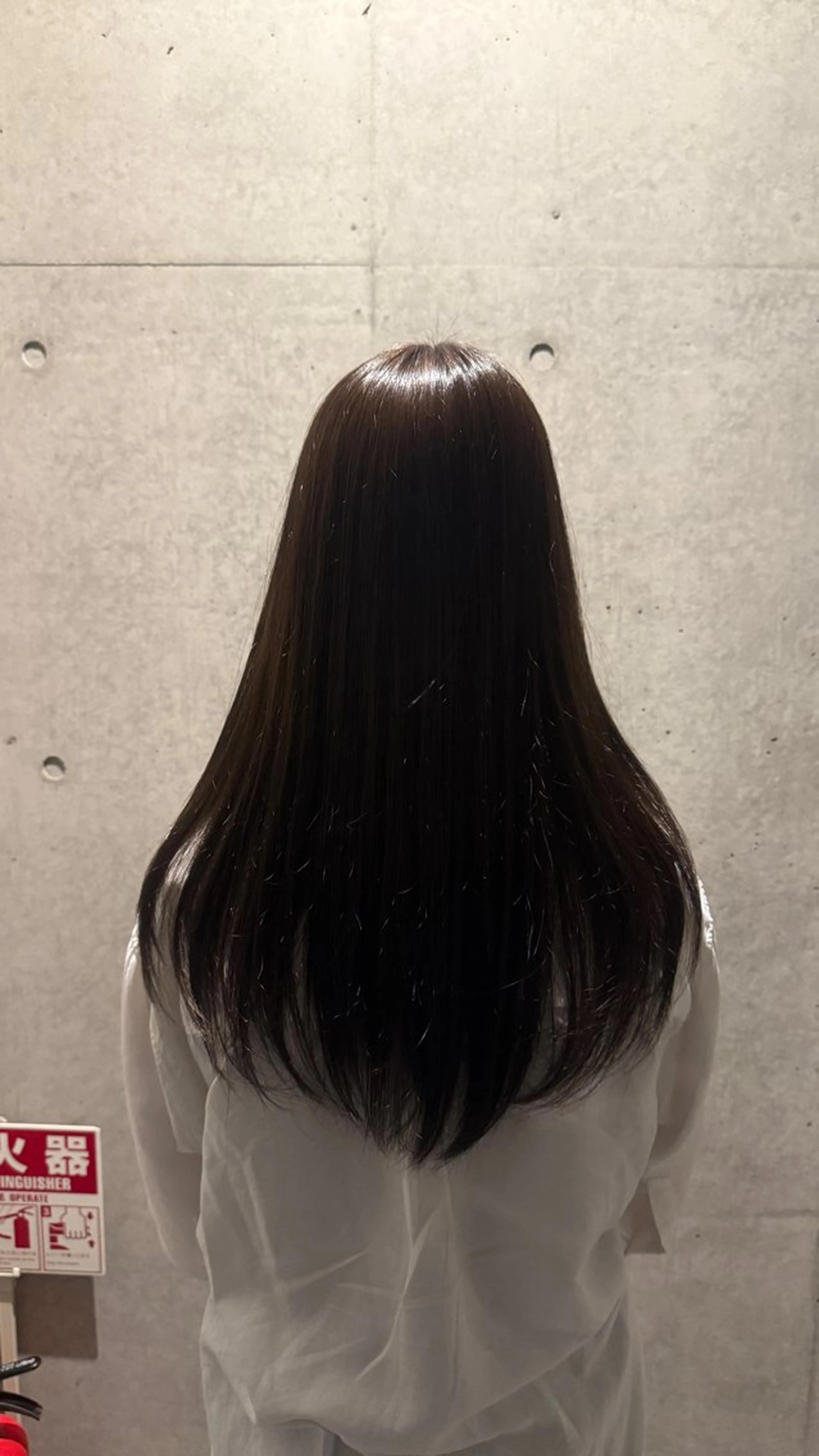 カラー さくら ⭐️ダブルカラーのヘアスタイル