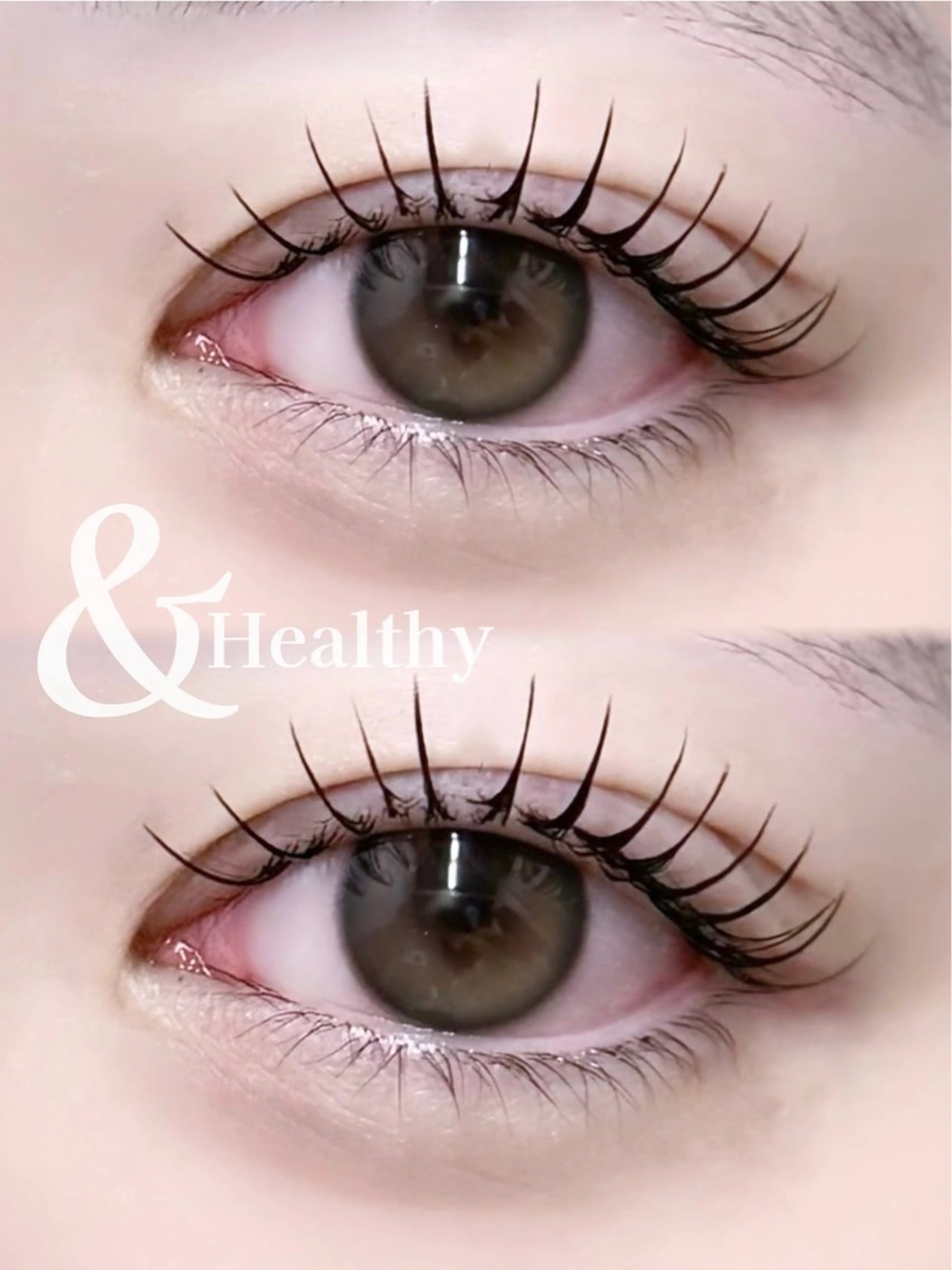 【期間限定】&Healthy 100~120本の写真