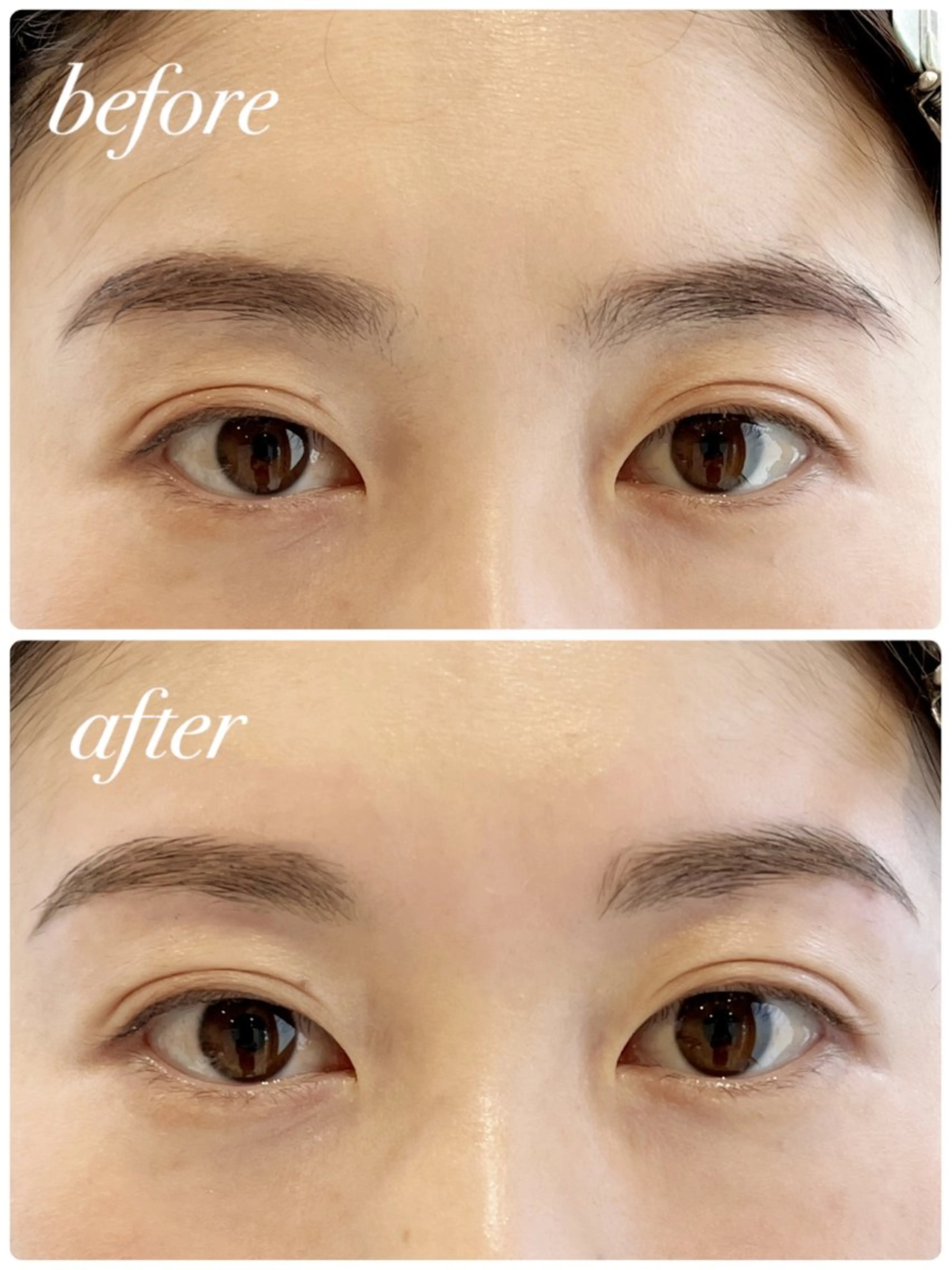 アイブロウ Holly  Bio KIKOの眉毛・アイブロウイメージ