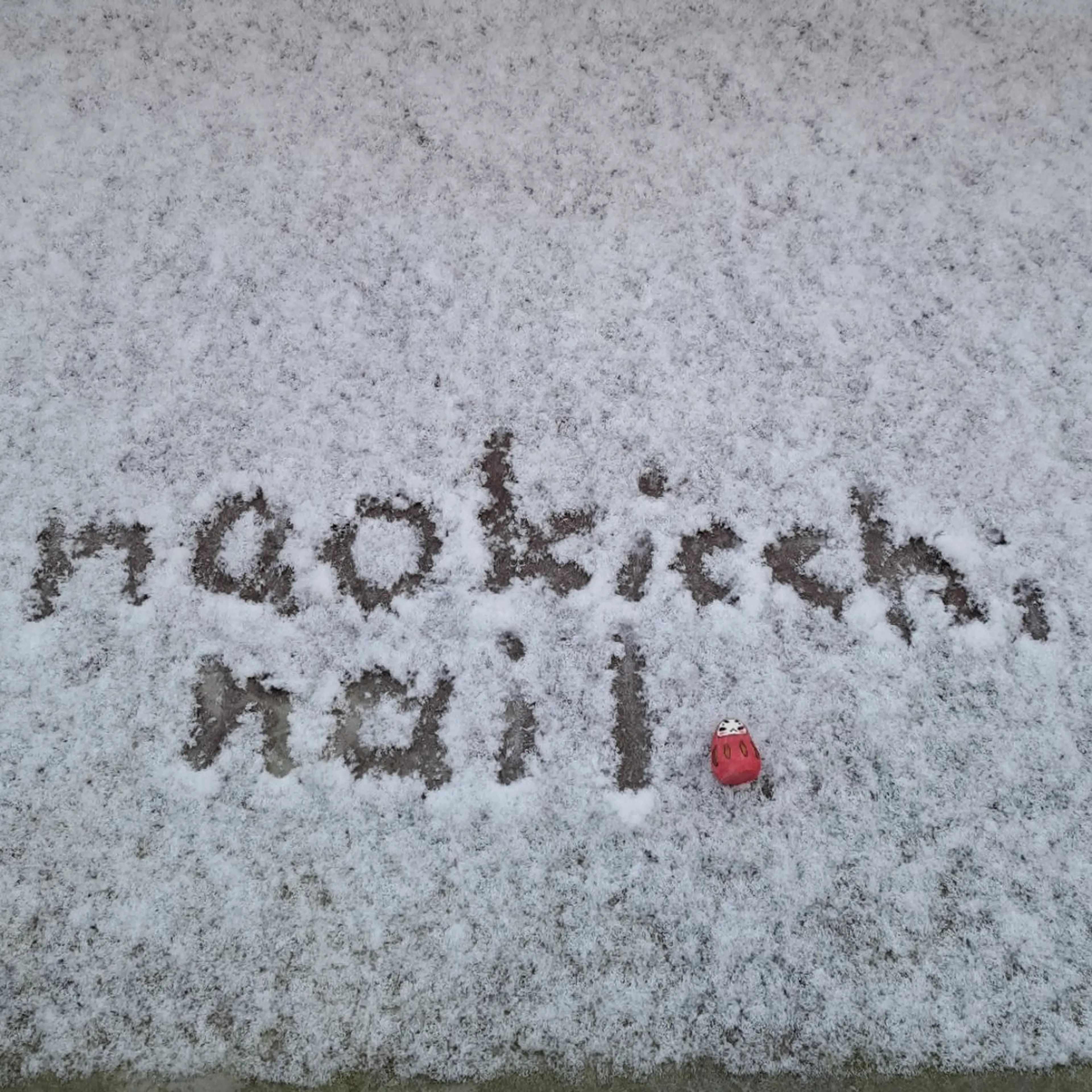 HAYASHI  Nのネイルデザイン