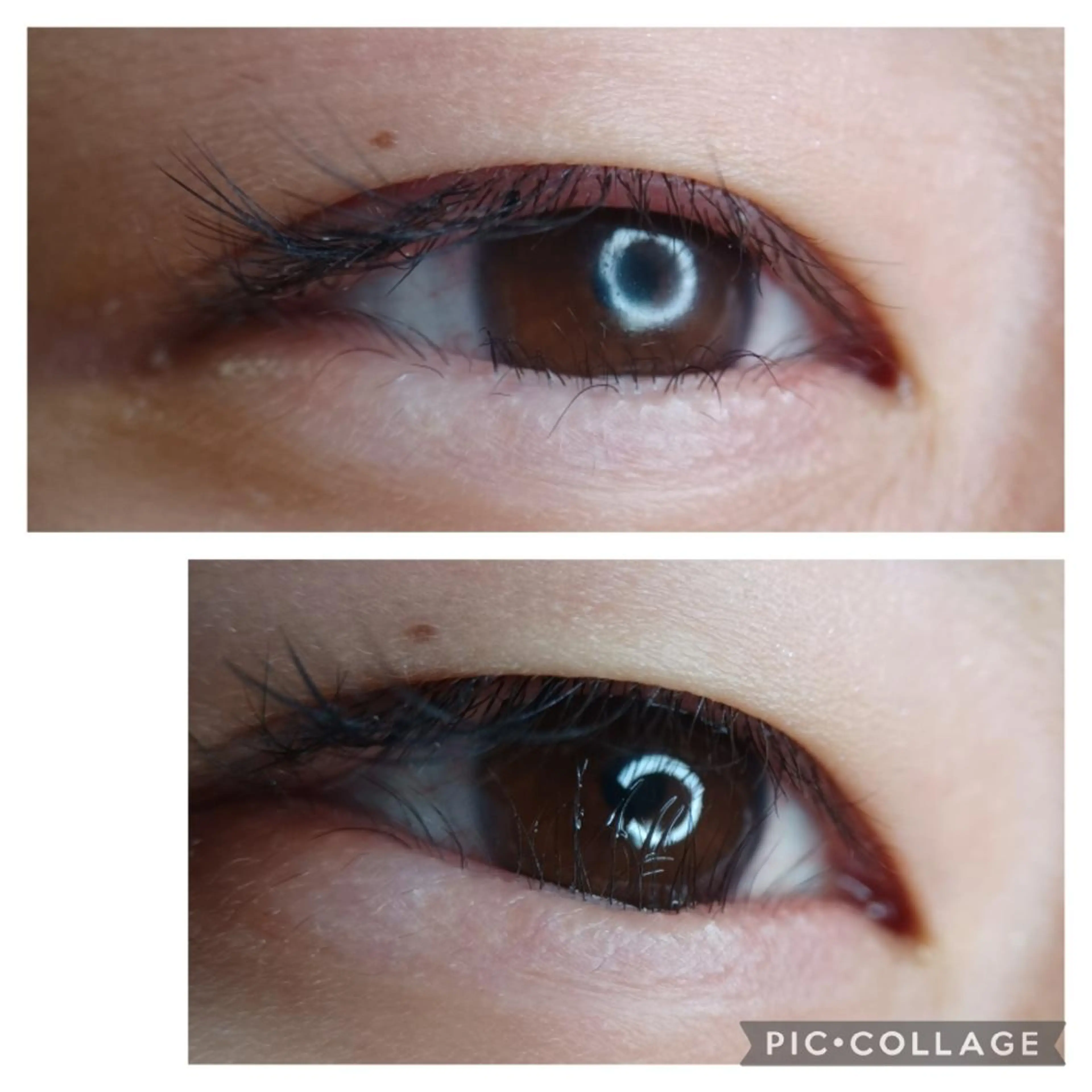 マツエク・マツパ まつげパーマ 下まつげエクステ 岡崎 良美のマツエク・マツパデザイン