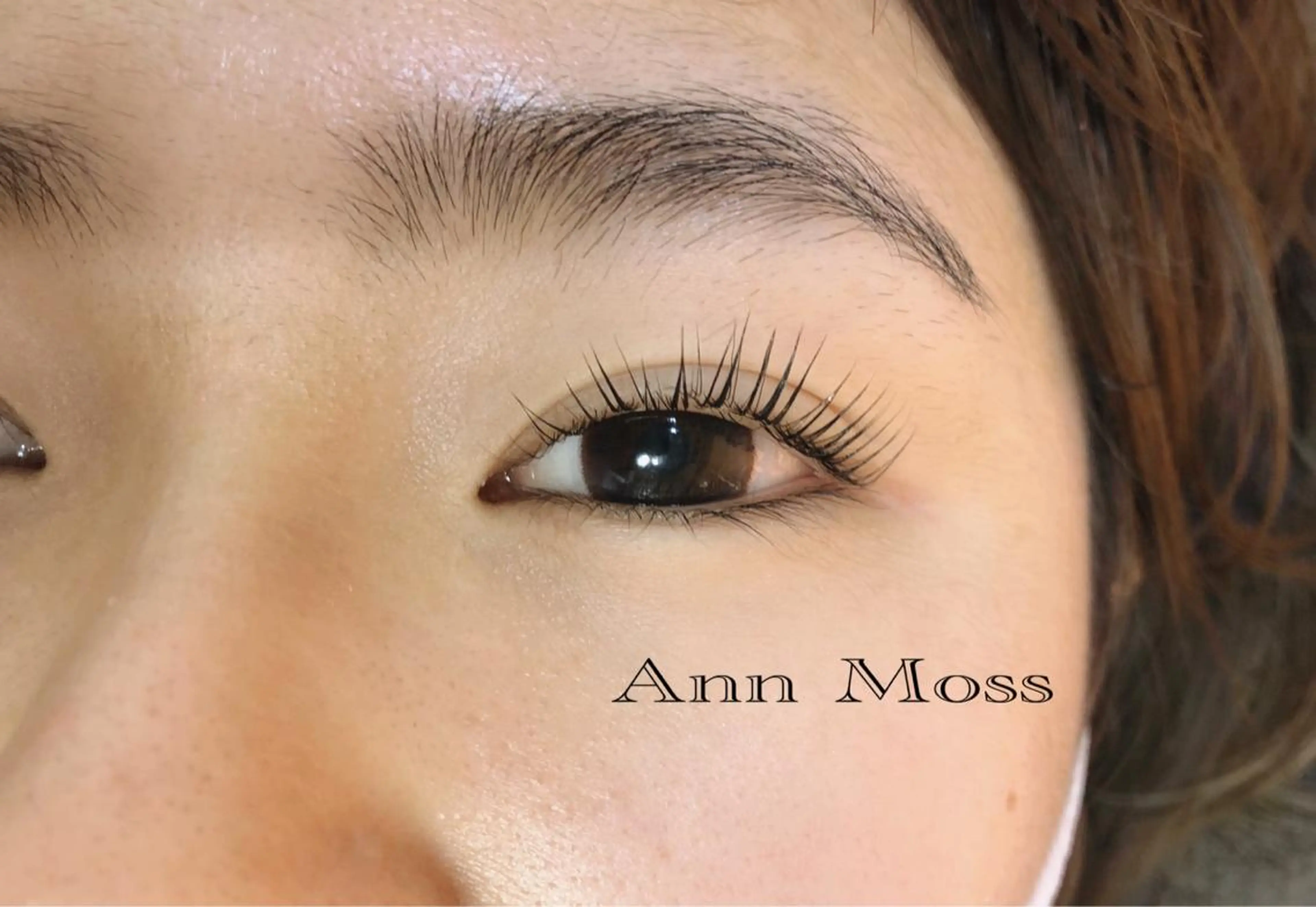 マツエク・マツパ ケラチンラッシュリフト 無料モデル募集中 Ann Mossのマツエク・マツパデザイン