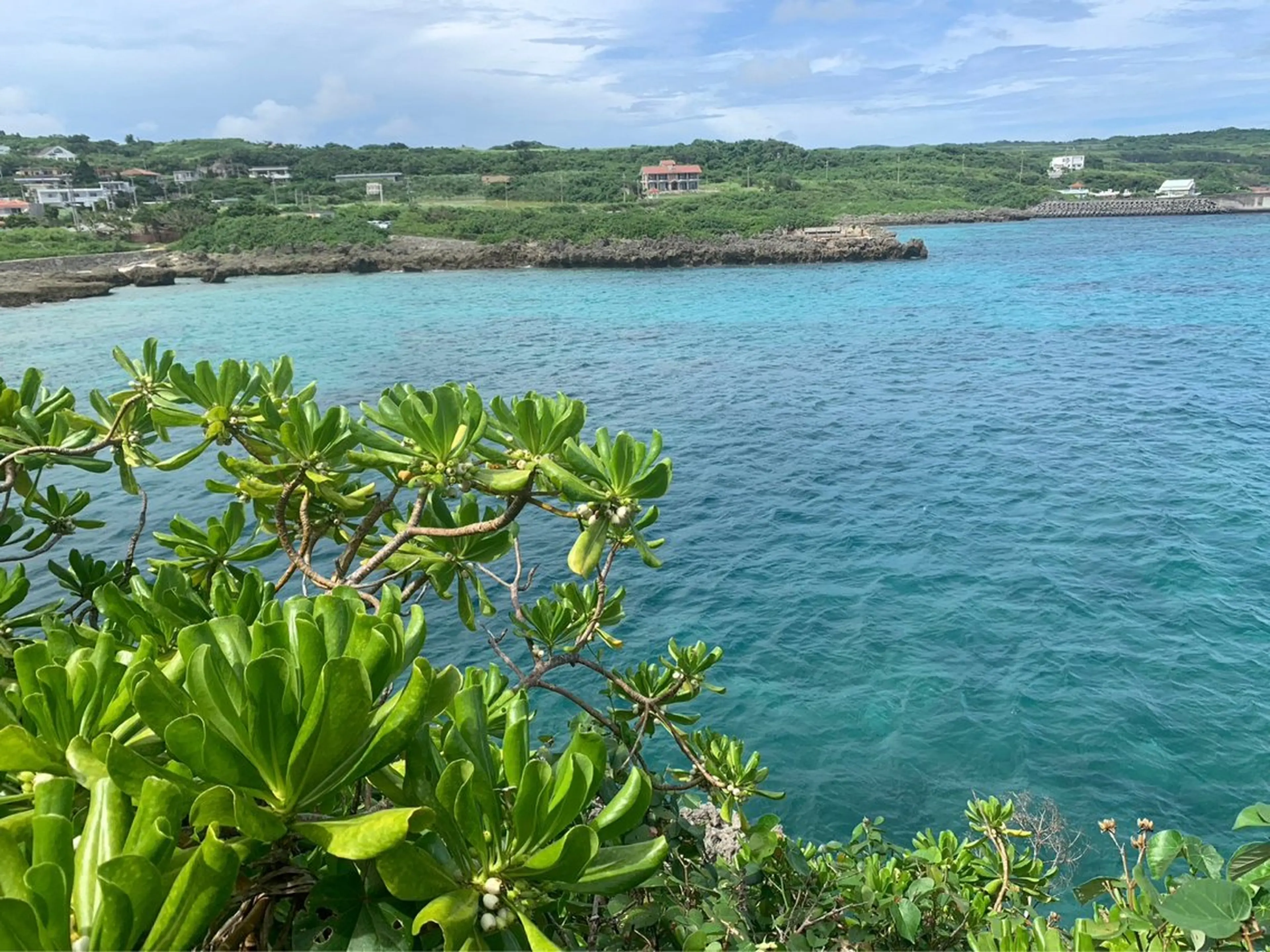 マツエク・マツパ NOA 🏝🌞のマツエク・マツパデザイン