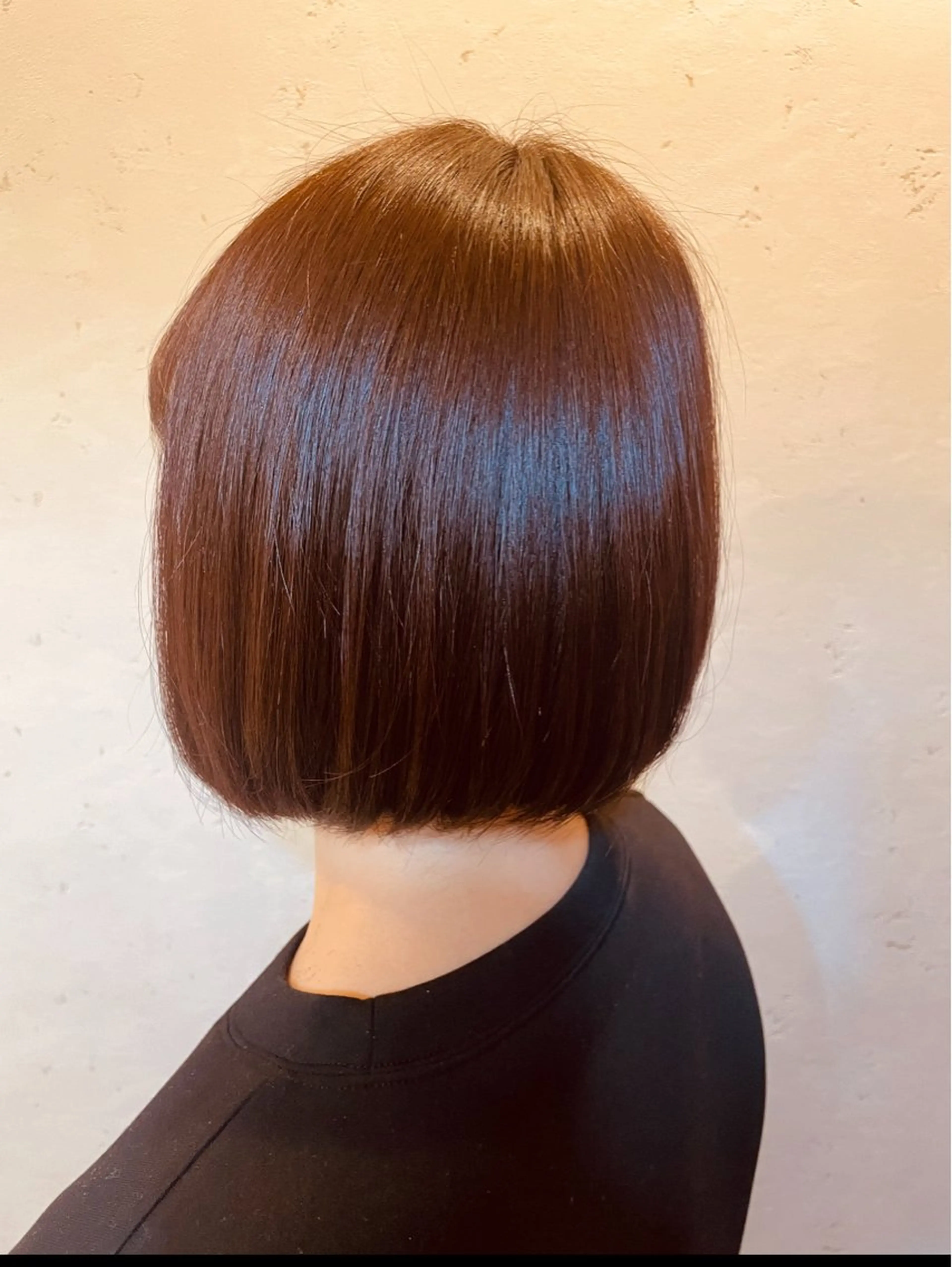 シャンプーカットの写真