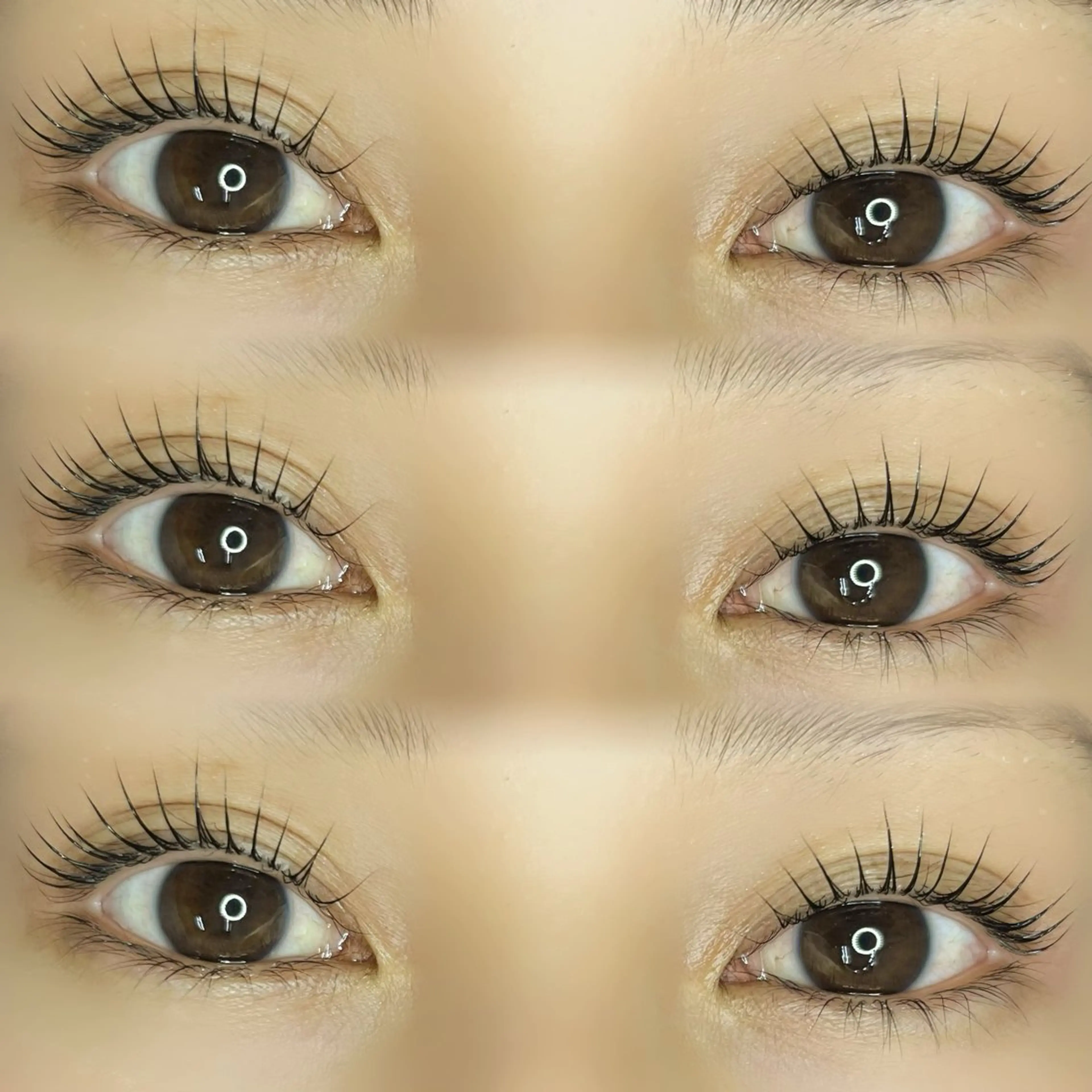 マツエク・マツパ マツパ くるるん本店 Juri🌷のマツエク・マツパデザイン