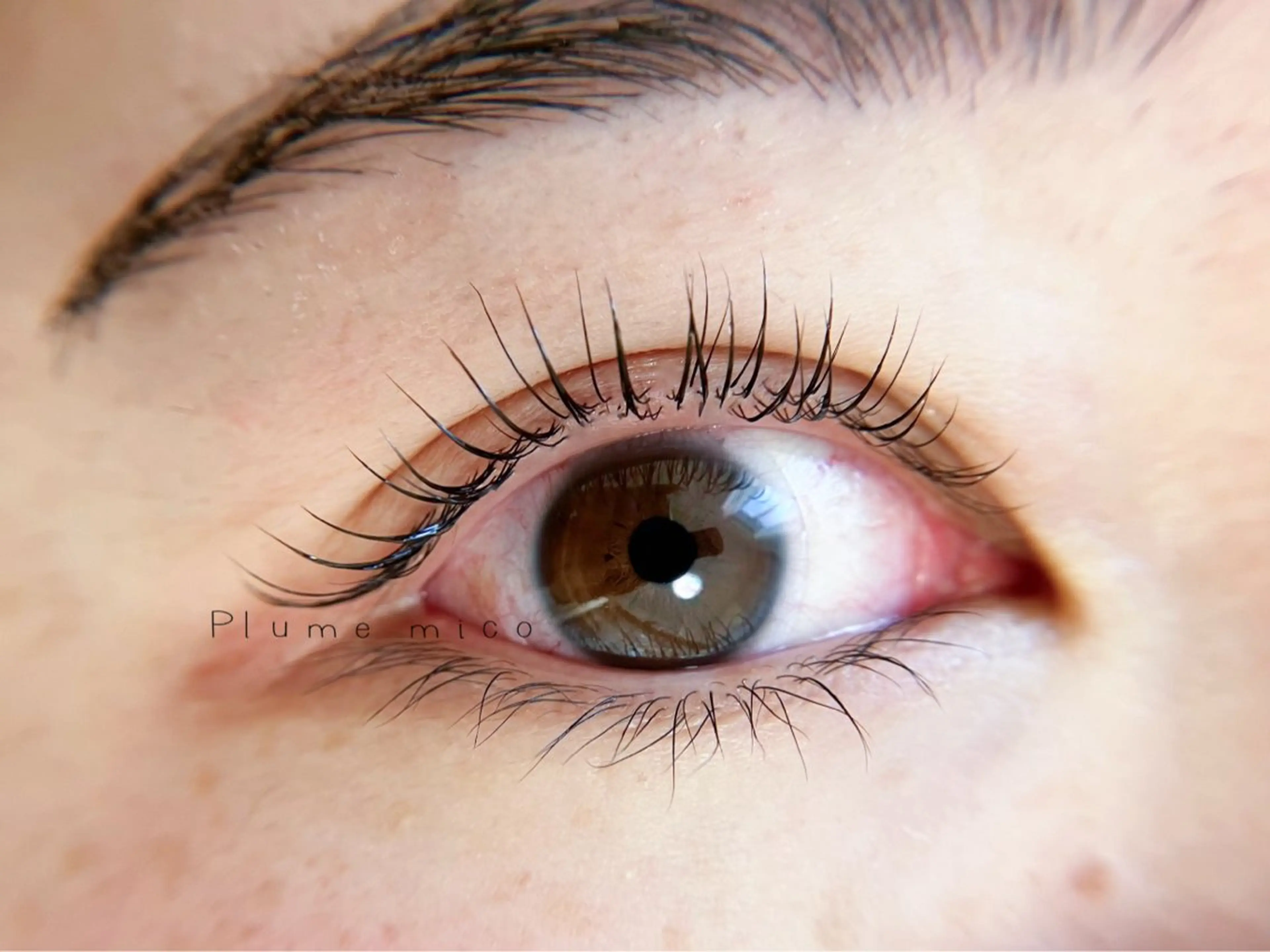 マツエク・マツパ マツパ Plume micoのマツエク・マツパデザイン