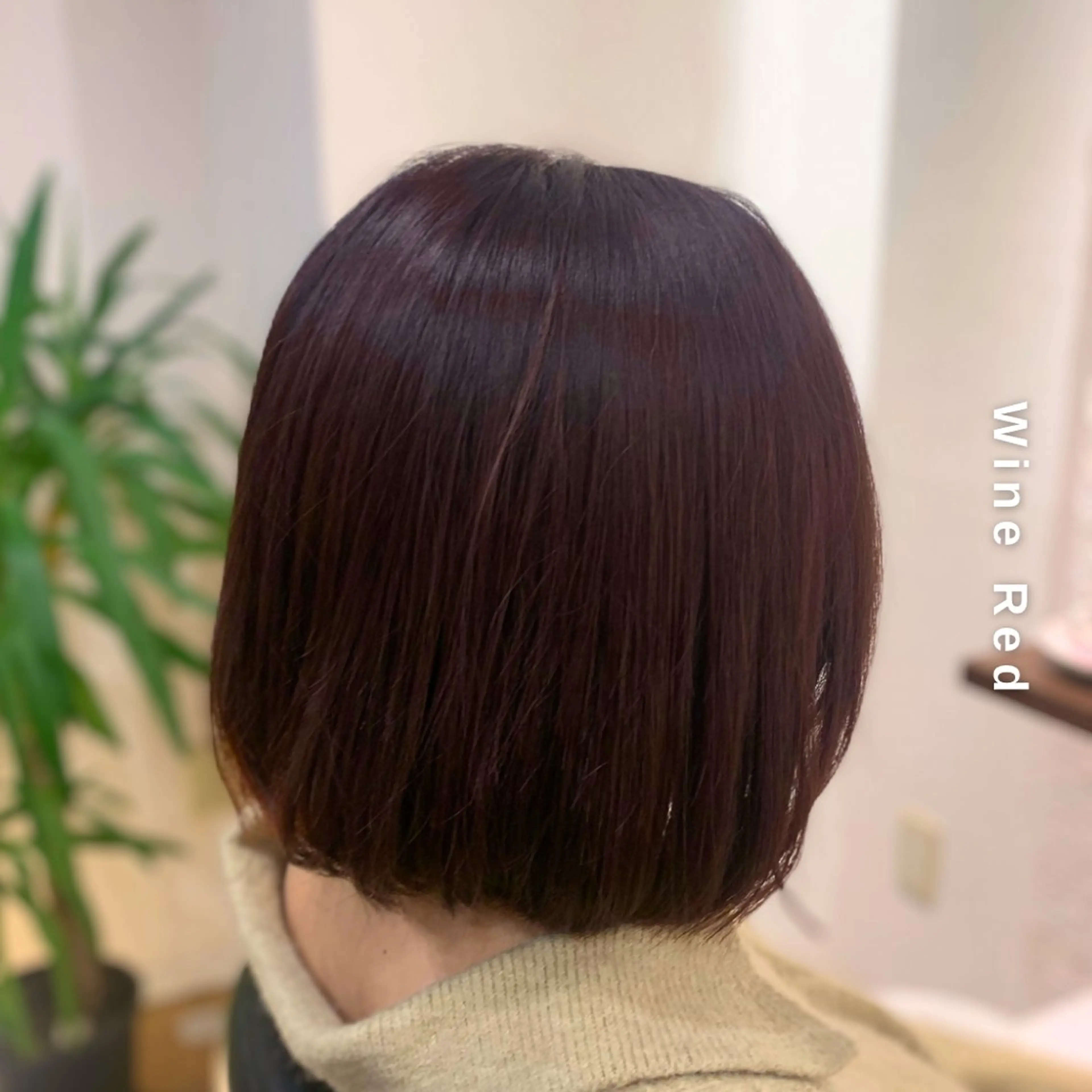 ミディアム カラー レッドカラー Hair&Make newer所属・しんのすけ /モデルさん募集中のヘアスタイル