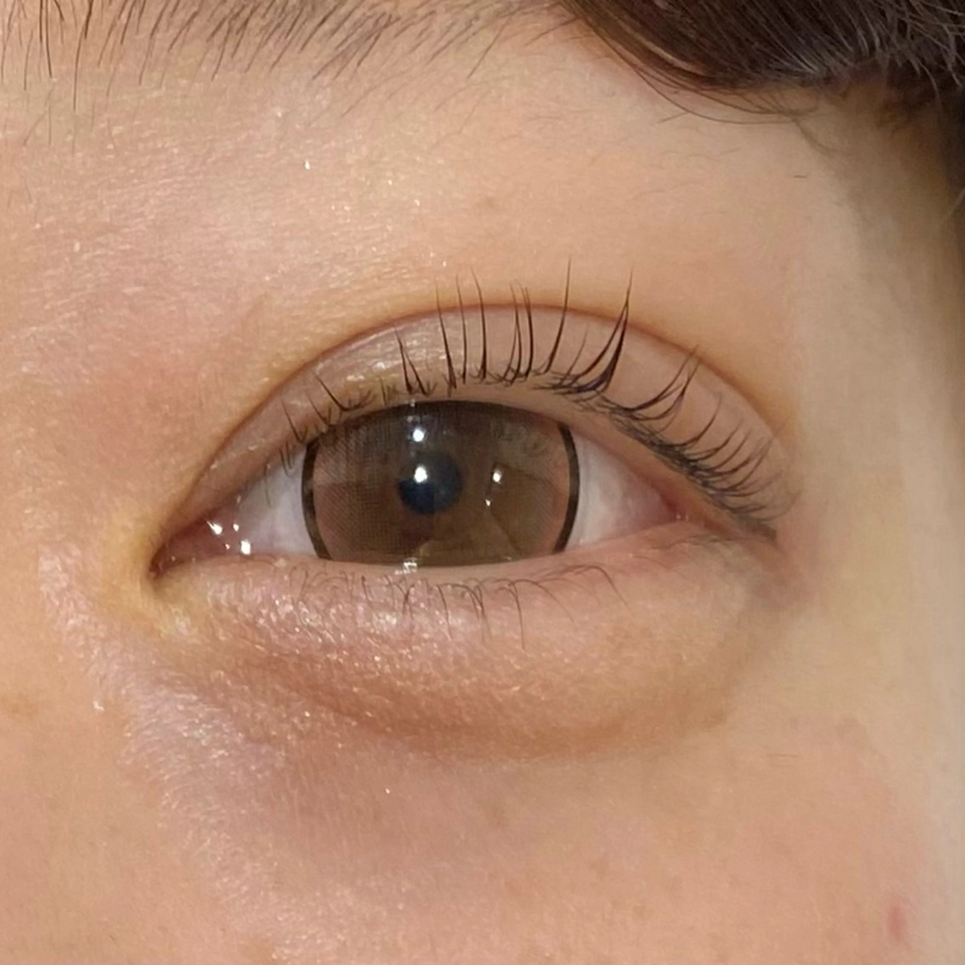 マツエク・マツパ 🐈ニナ🐈‍⬛/メ ンズカット/まつパのヘアスタイル