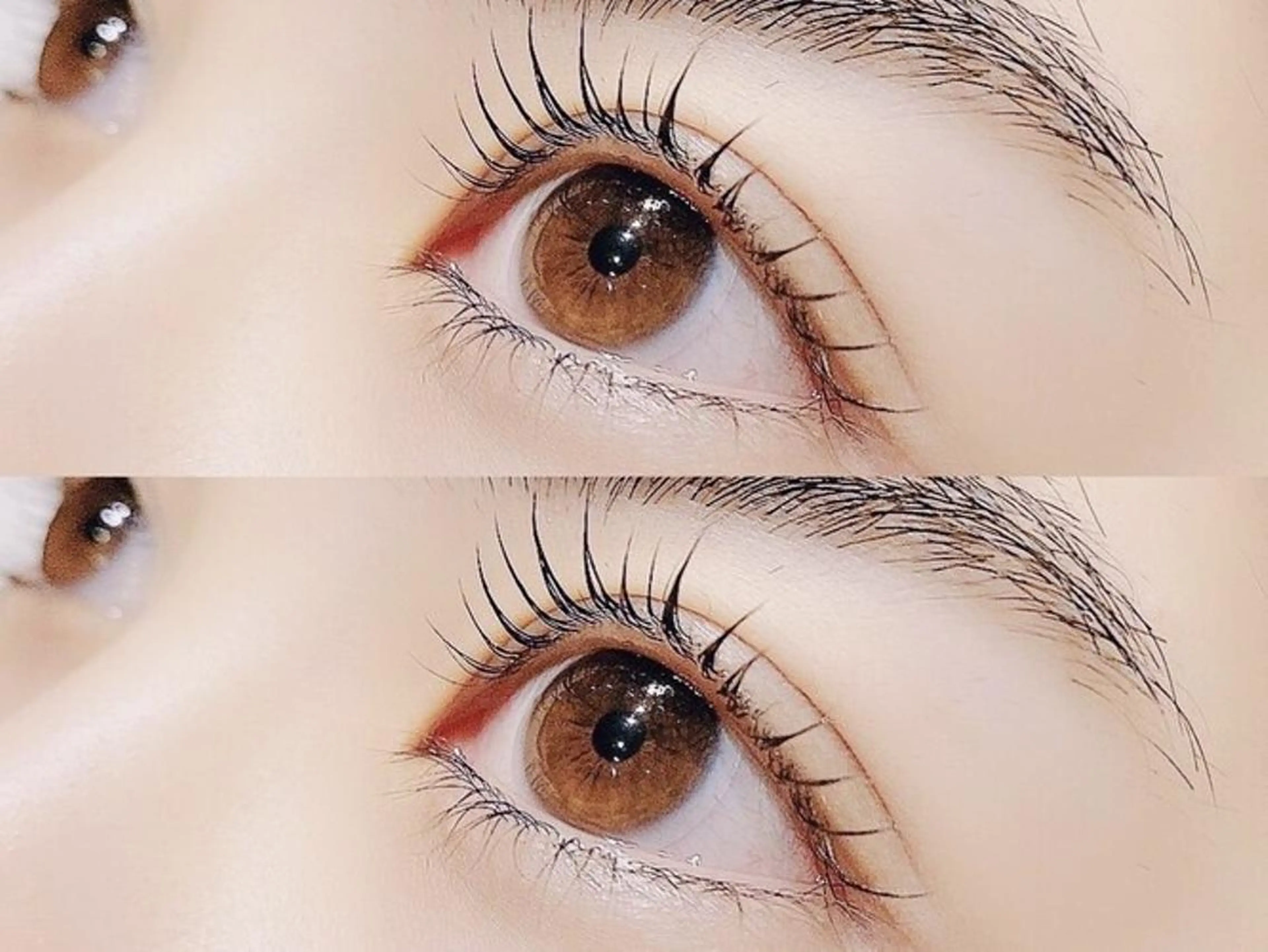 マツエク・マツパ 天王寺徒歩5分🐾ま つ毛専門🐾yukiのマツエク・マツパデザイン