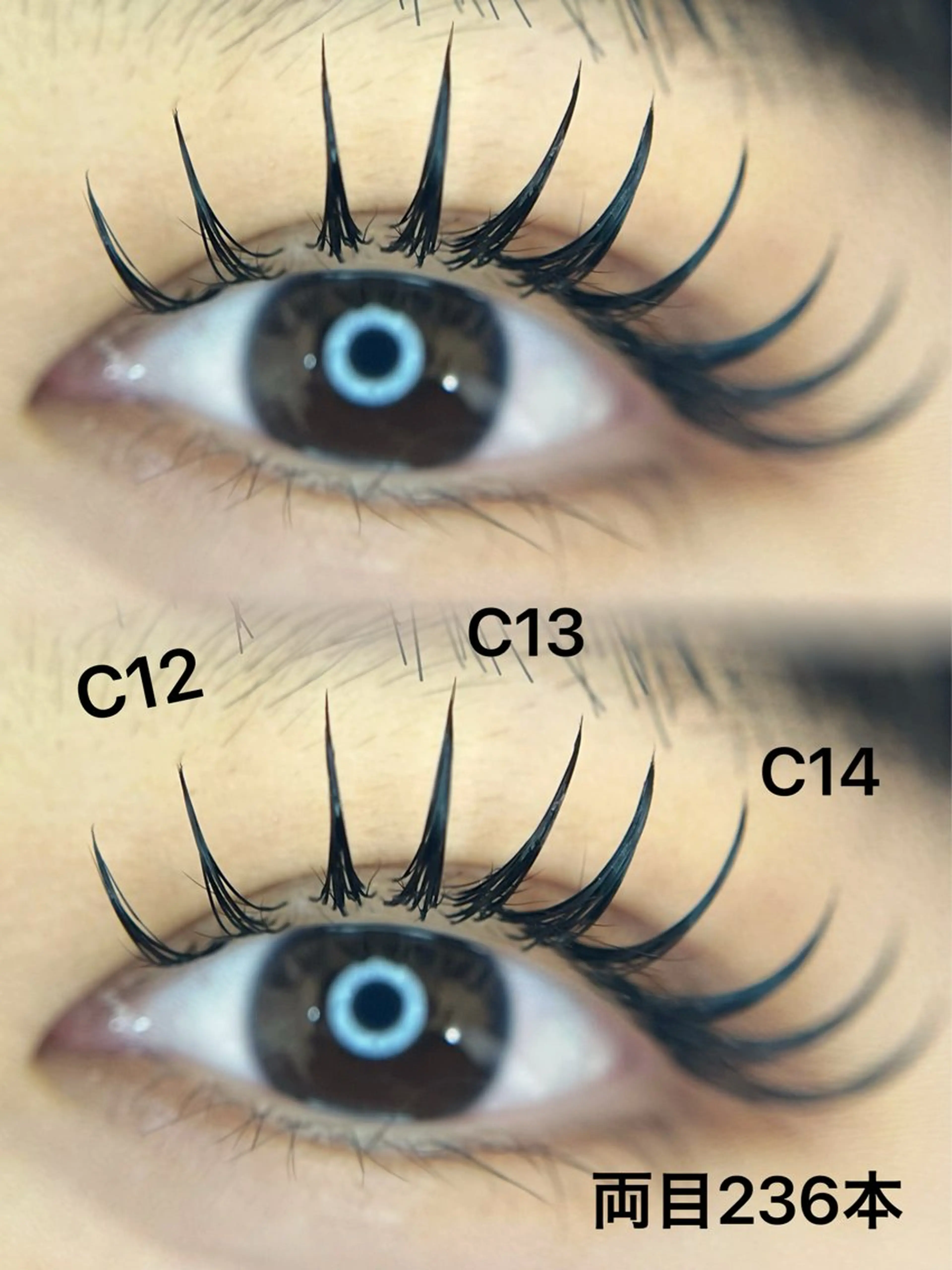 ダブルフラットラッシュ100束の写真