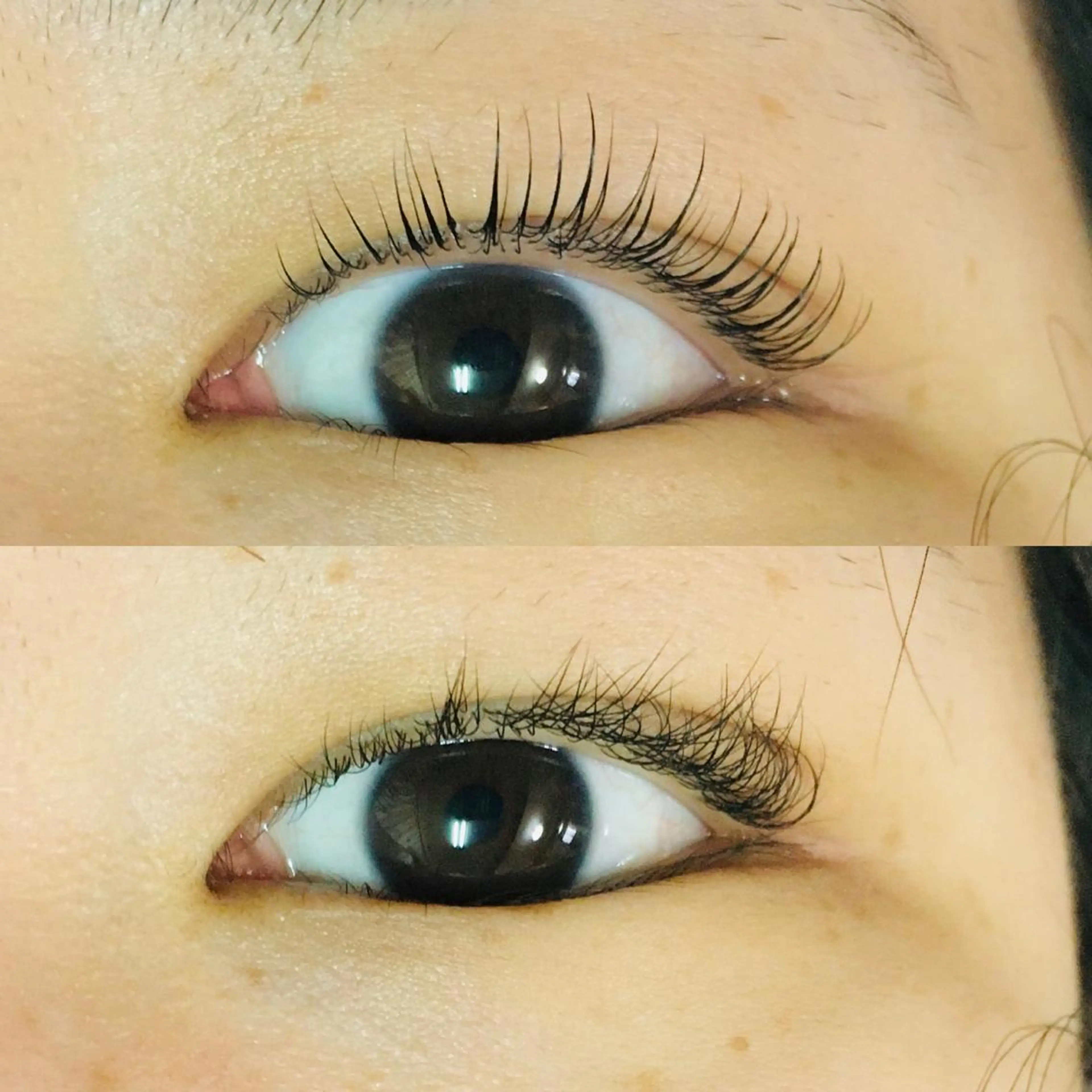 マツエク・マツパ マツパ Lotus. makoのエステ・リラクイメージ