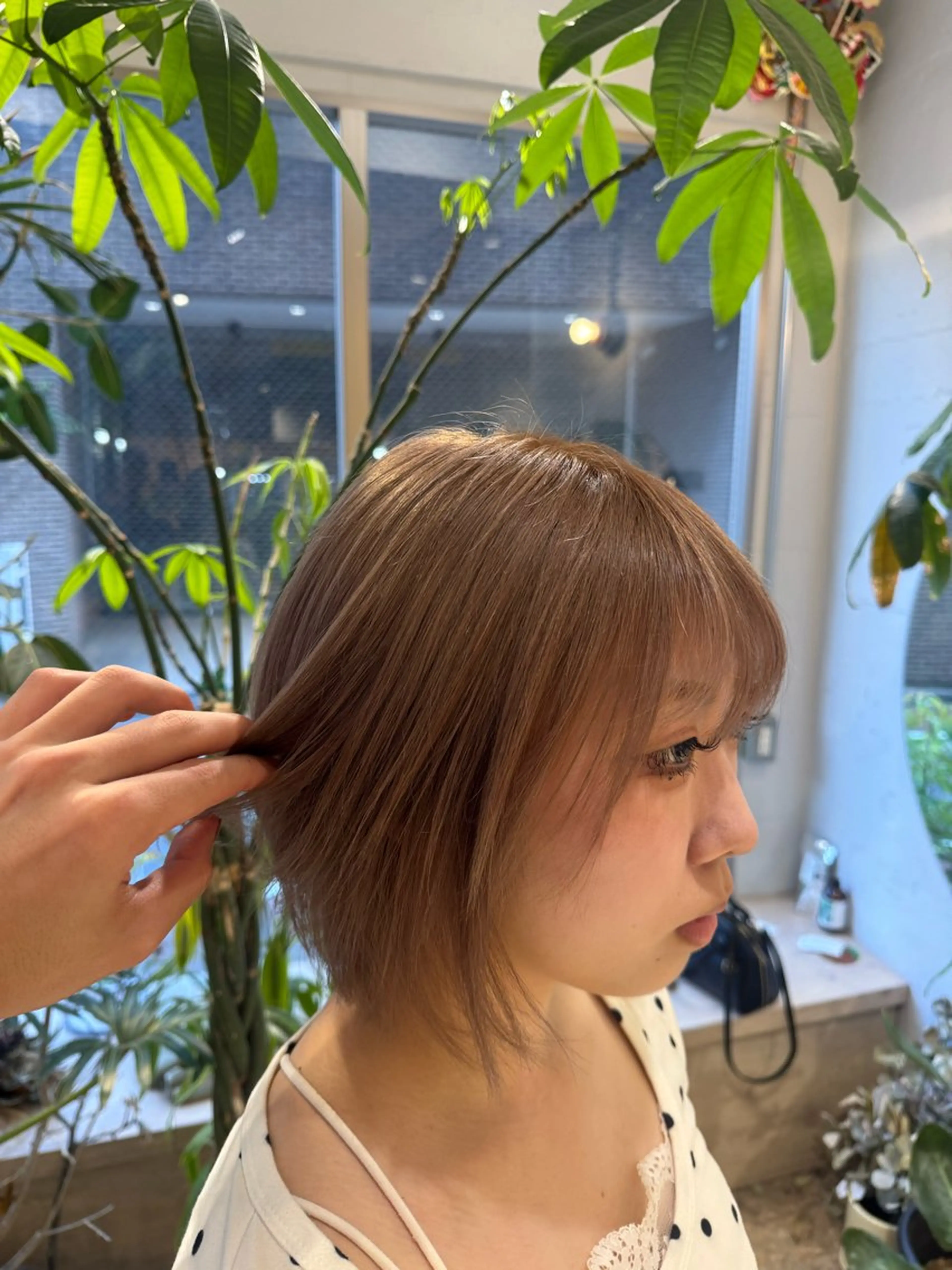 ショート カラー 🎨ハイトーン/ウル フ/ローライト/大夢のヘアスタイル