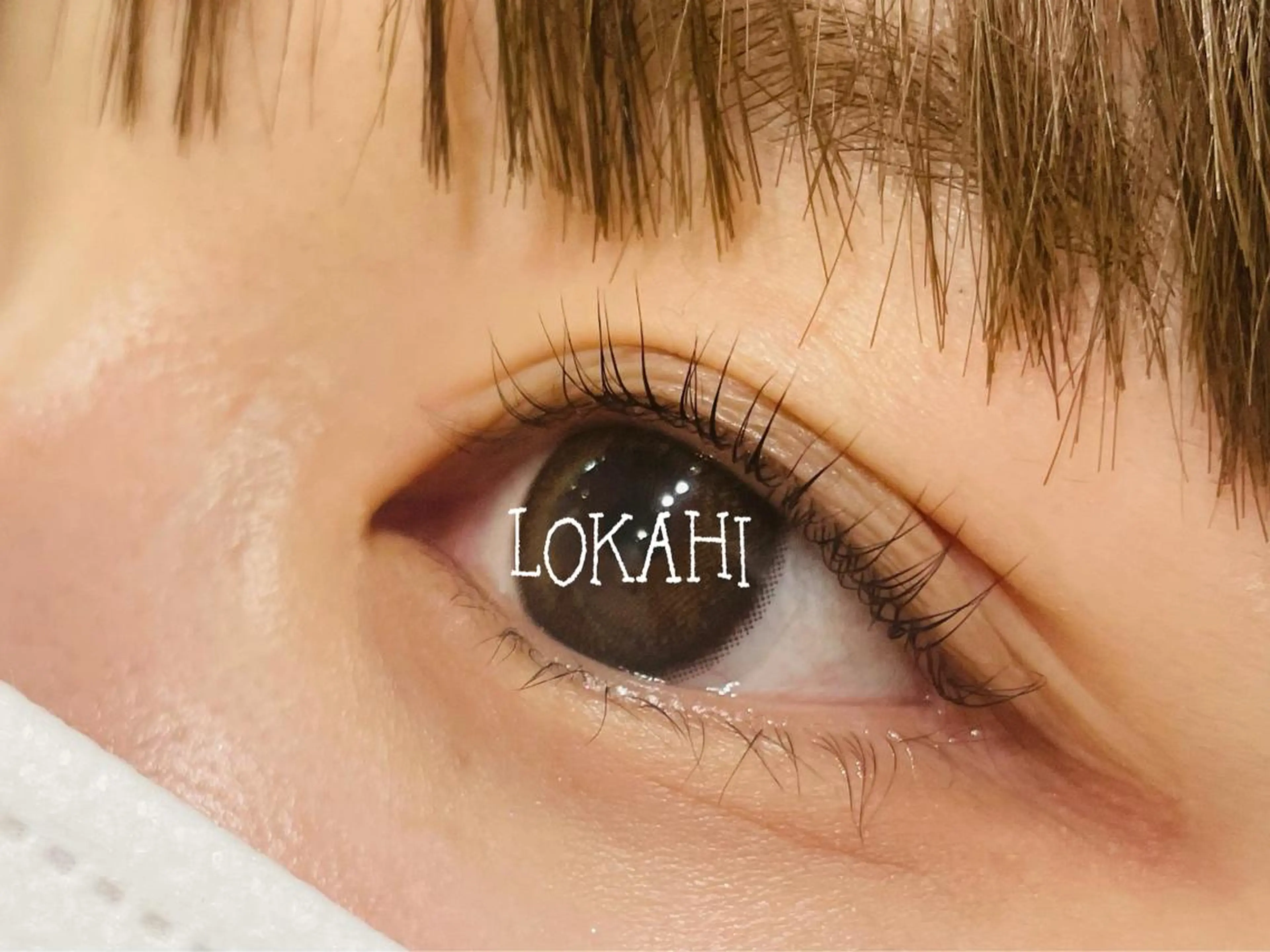 マツエク・マツパ パリジェンヌラッシュリフト マツパ LOKAHI ヤハラのマツエク・マツパデザイン