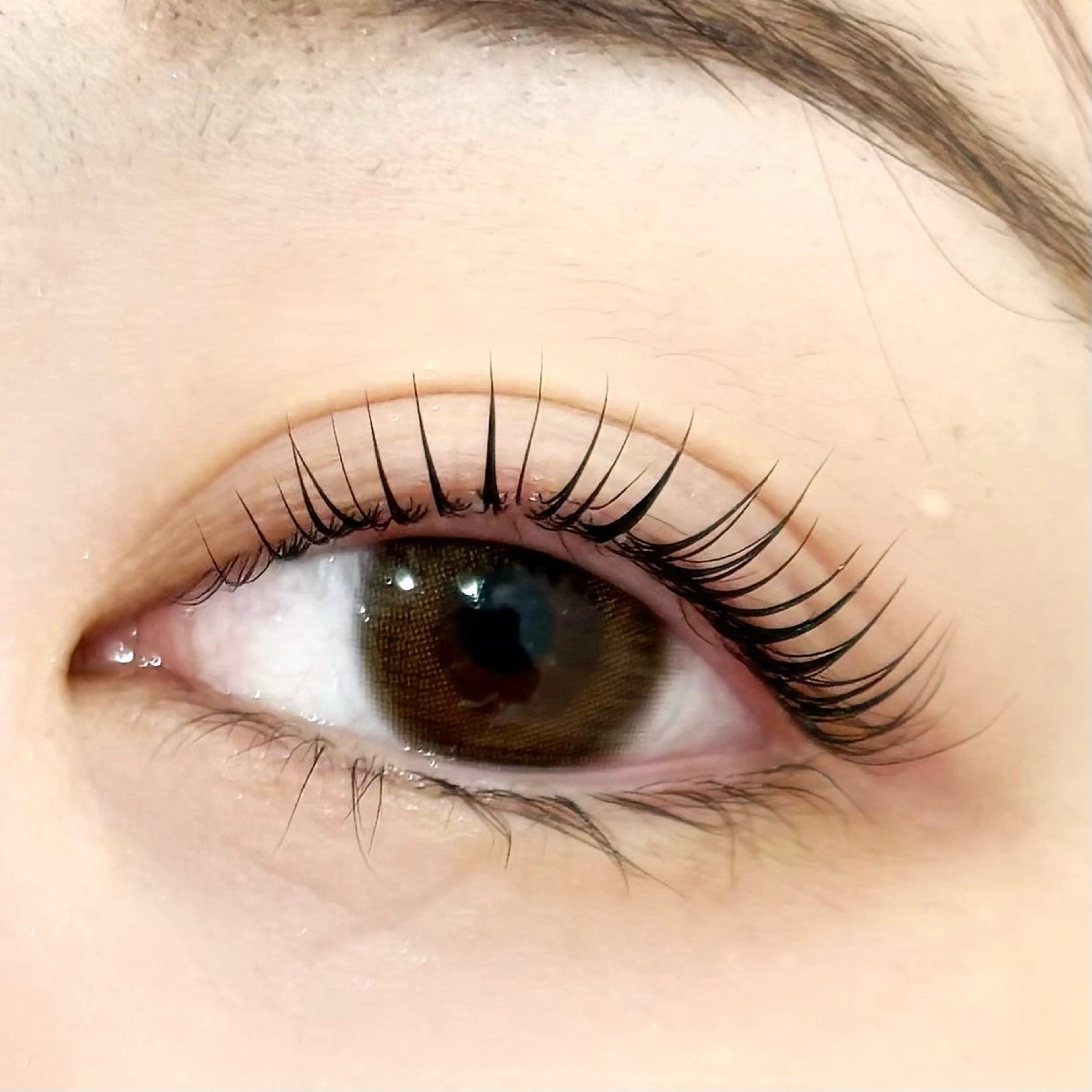 🍒上まつ毛パーマ🍒の写真