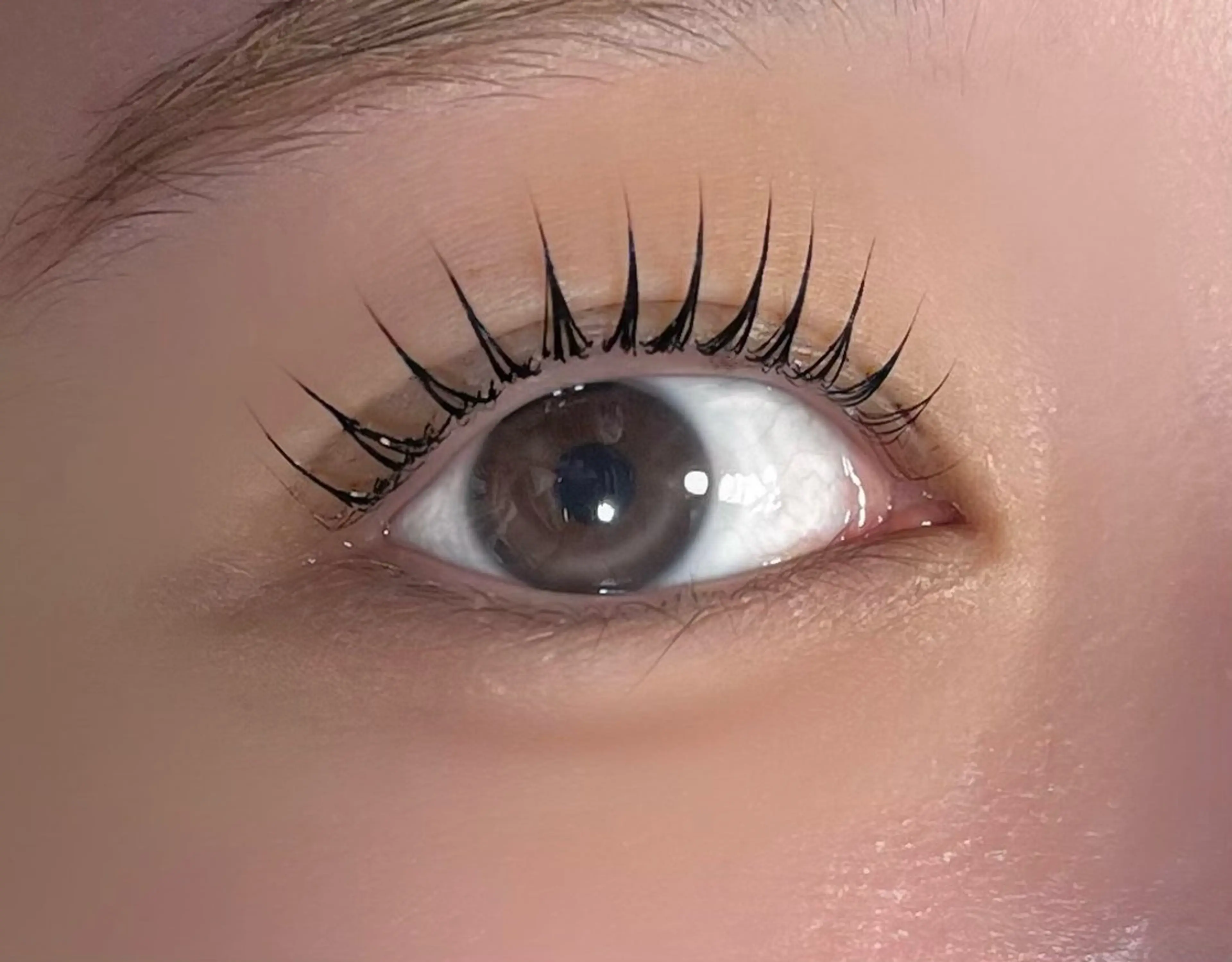 次世代まつ毛パーマ🎀Lカール✨保湿トリートメント付¥5,480の写真