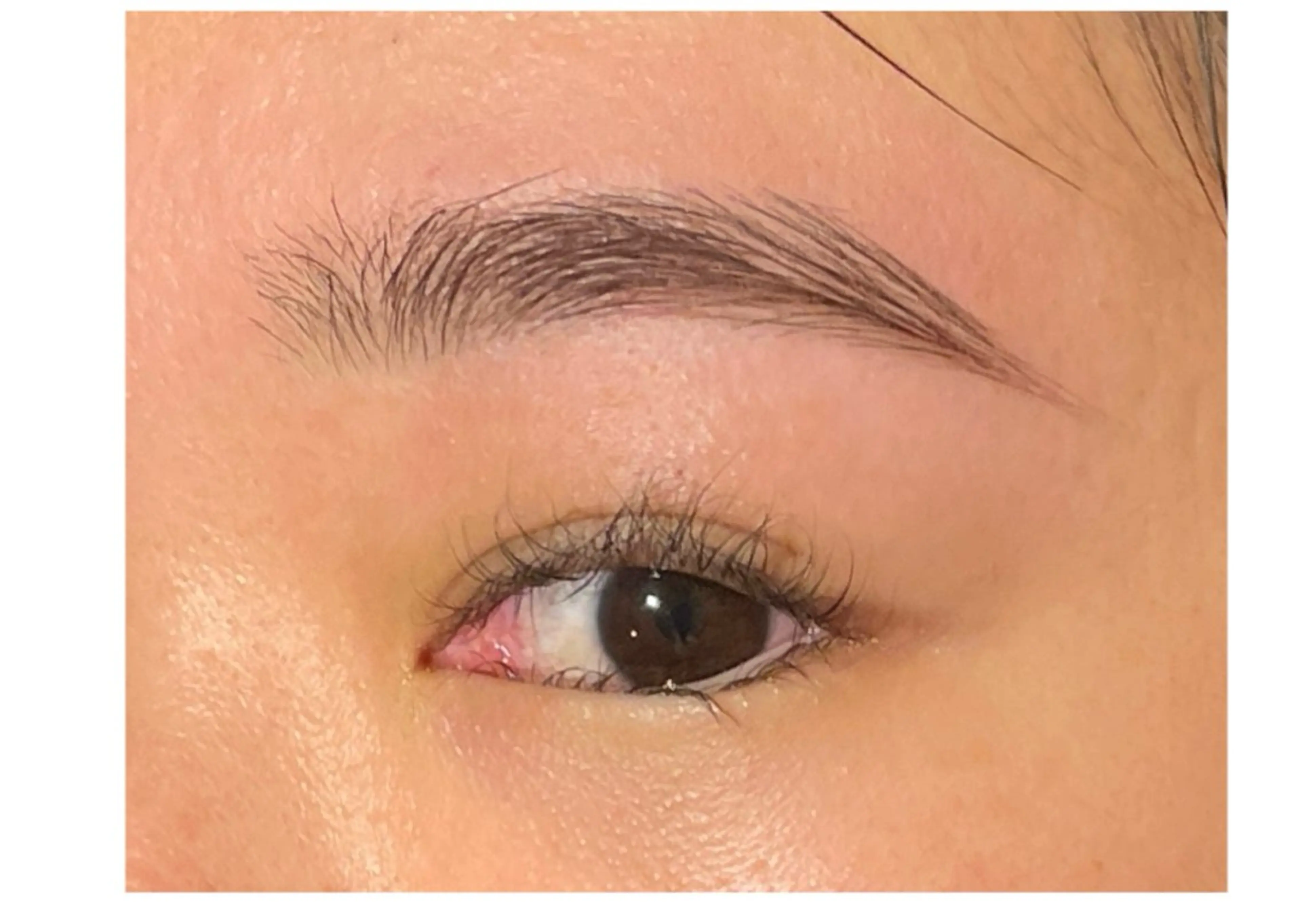 アイブロウ ワックス脱毛 その他(アイブロウ) 🦋nagisa🦋 メンズ眉毛/並行眉毛の眉毛・アイブロウイメージ