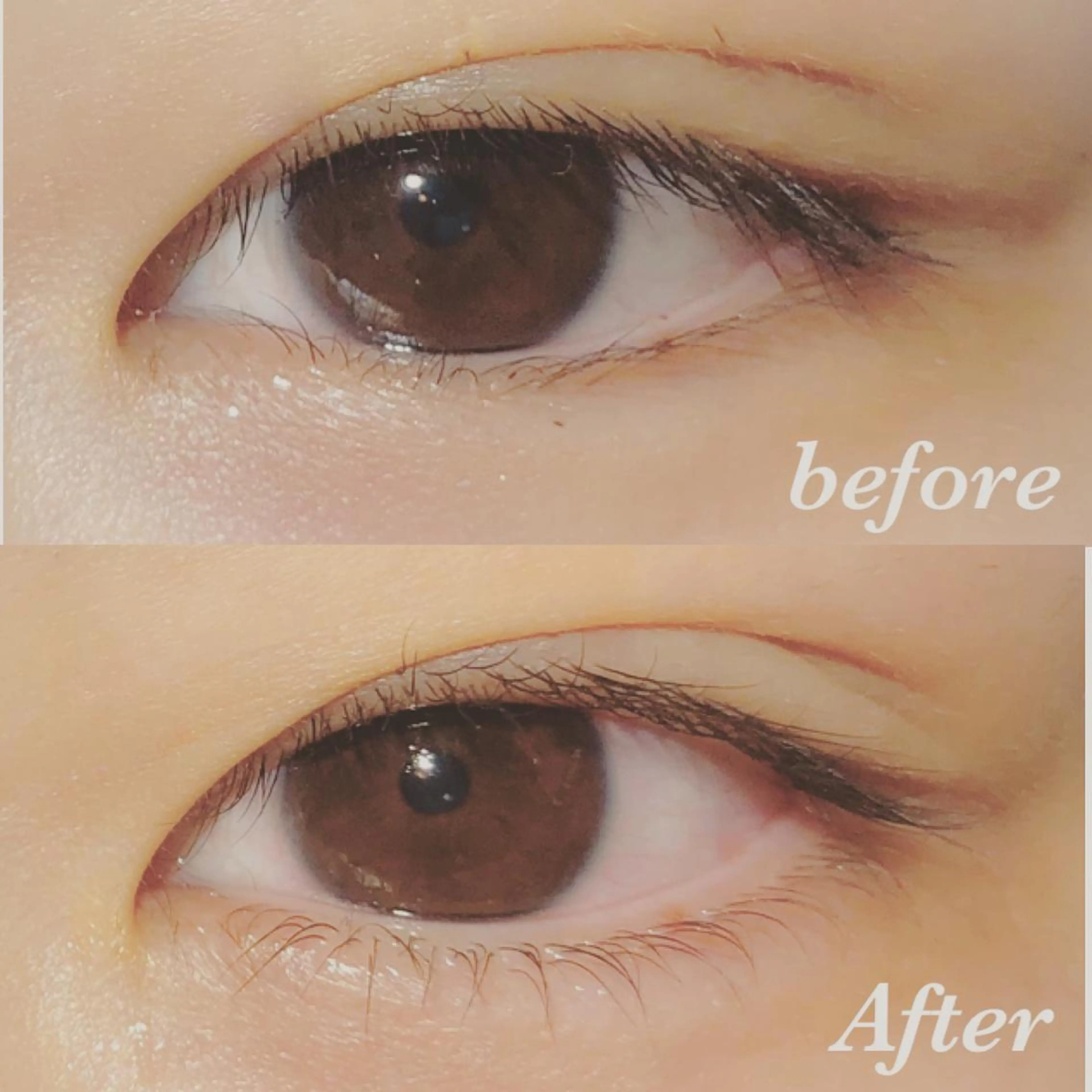 下まつげパーマの写真