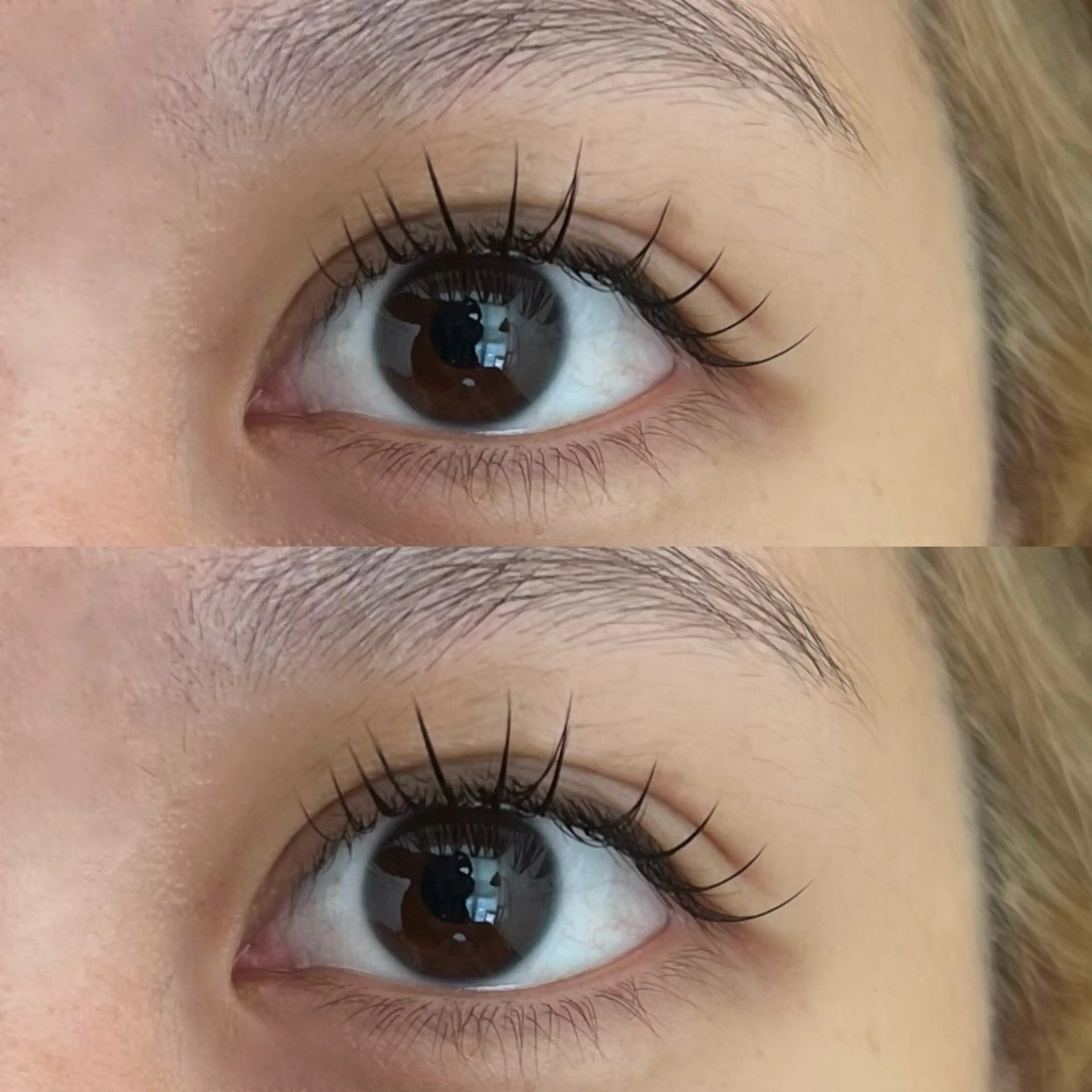 マツエク・マツパ Cカール フラットラッシュ マツエク 🌿ayaki🌿 en Reveのマツエク・マツパデザイン