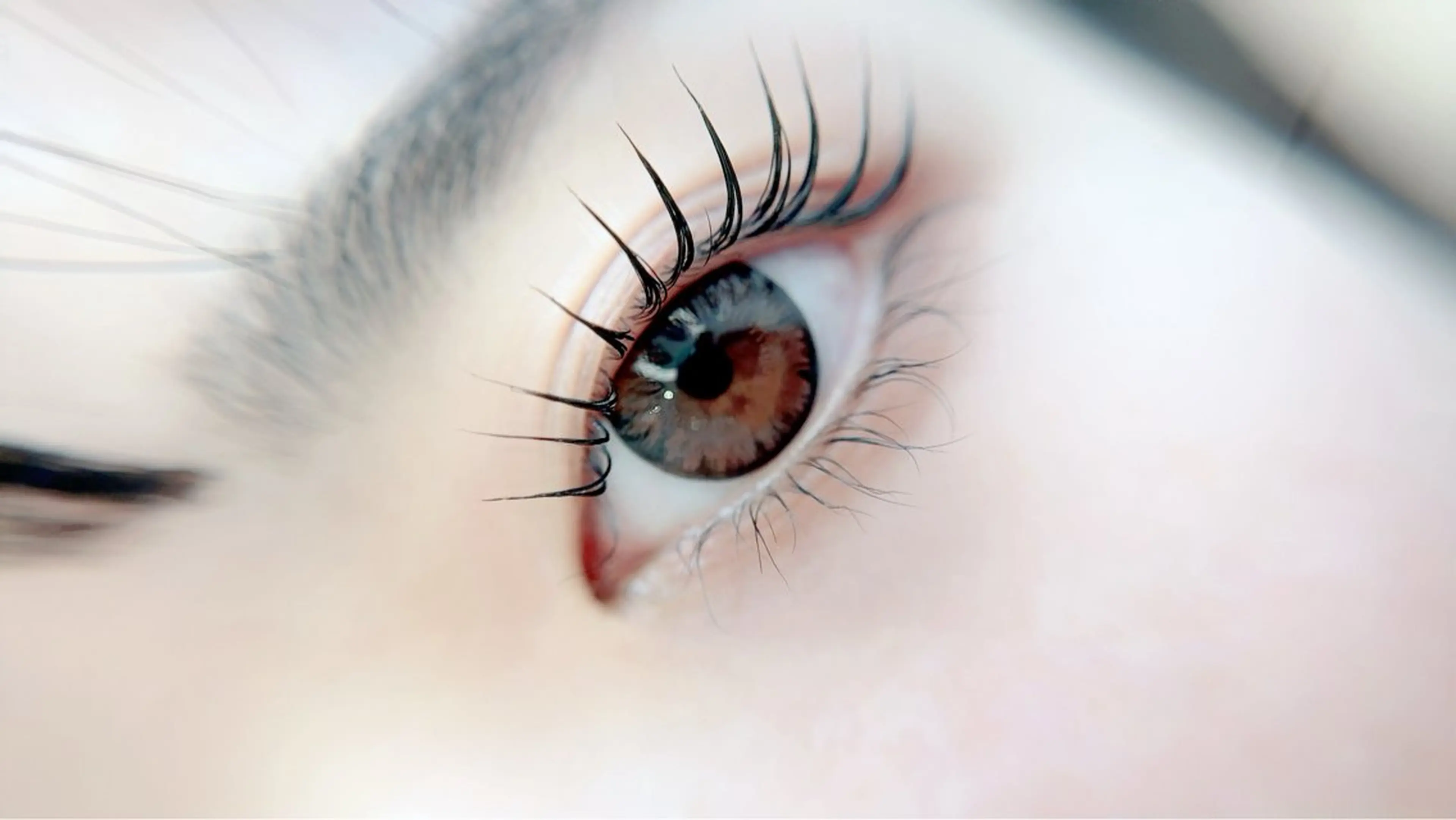 マツエク・マツパ Maile leaf 【マイレリーフ】のマツエク・マツパデザイン