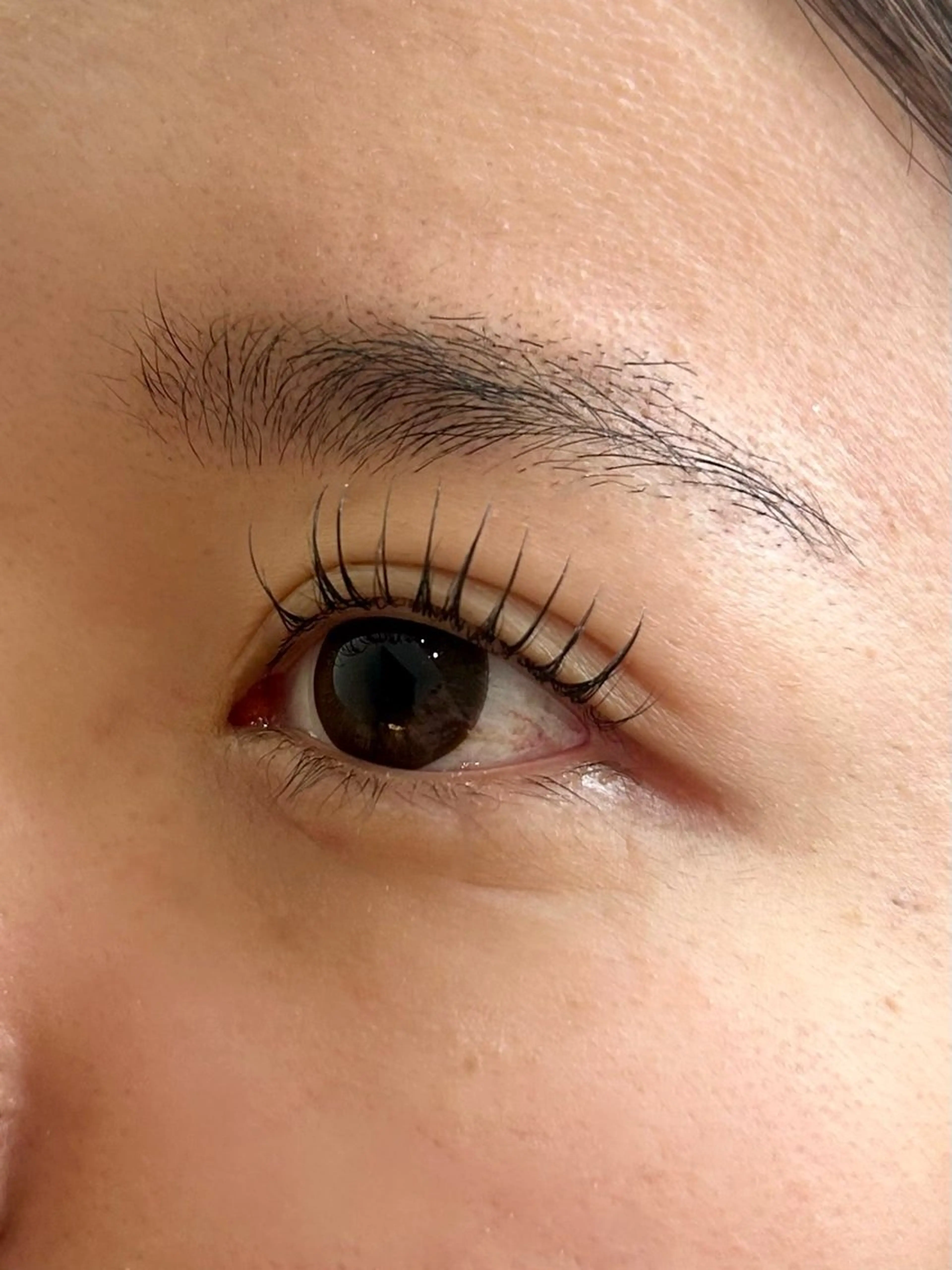 【ミニモ限定価格】パリエク、リフエク100本~の写真