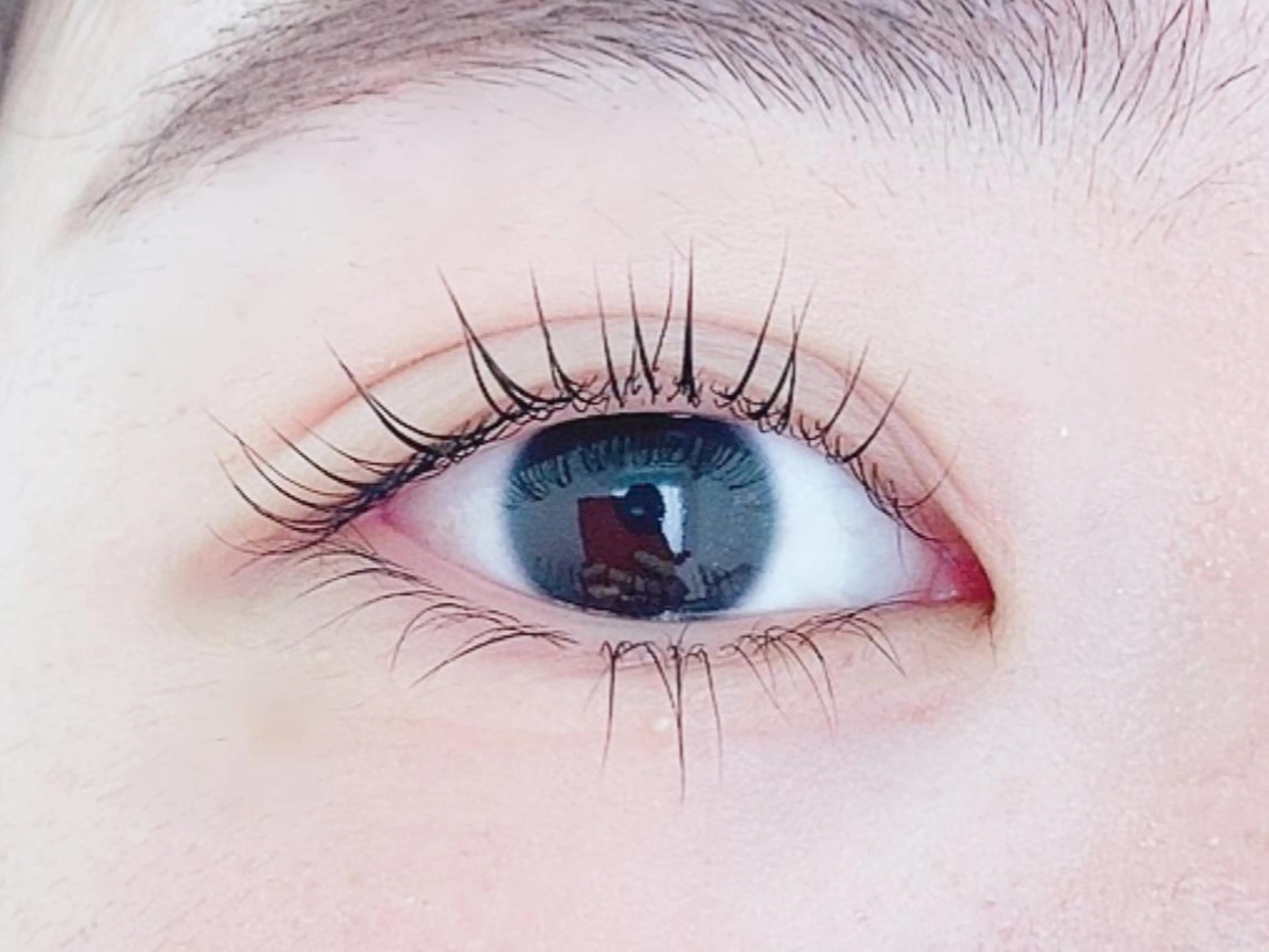 マツエク・マツパ マツパ トレヴァーデルチザン inuiのマツエク・マツパデザイン