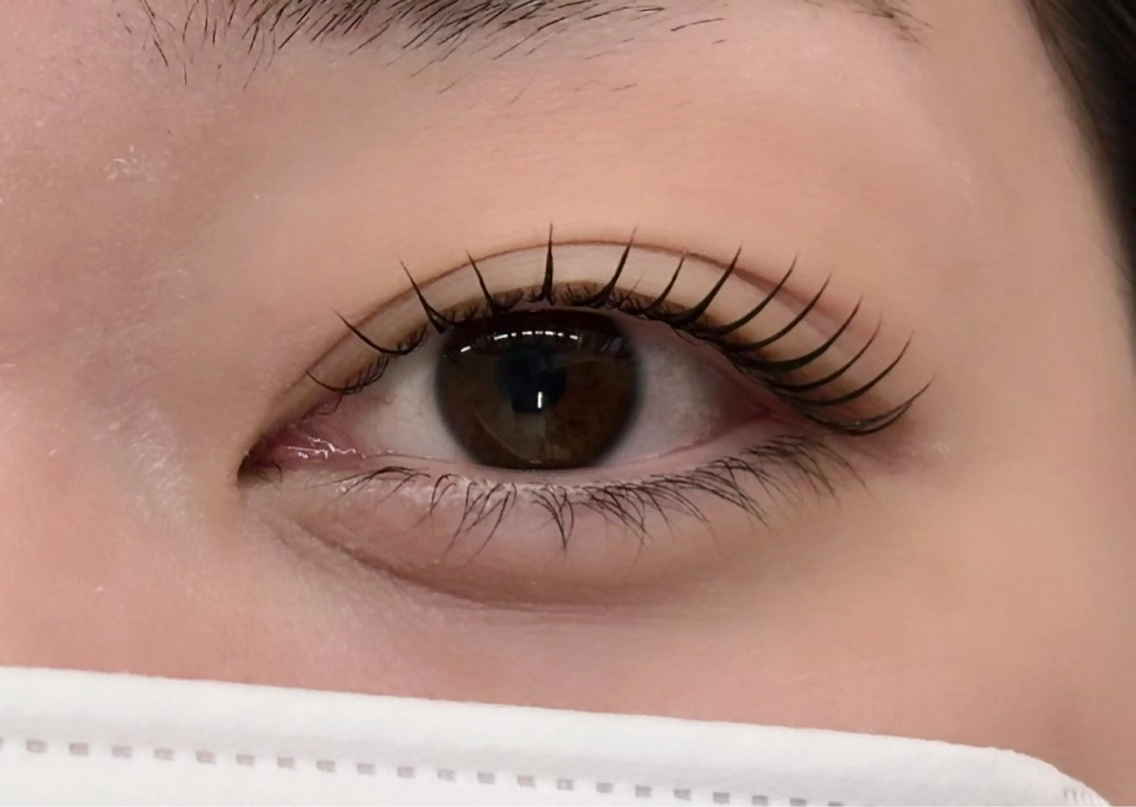 マツエク・マツパ マツパ LaBlanche ゆいの眉毛・アイブロウイメージ