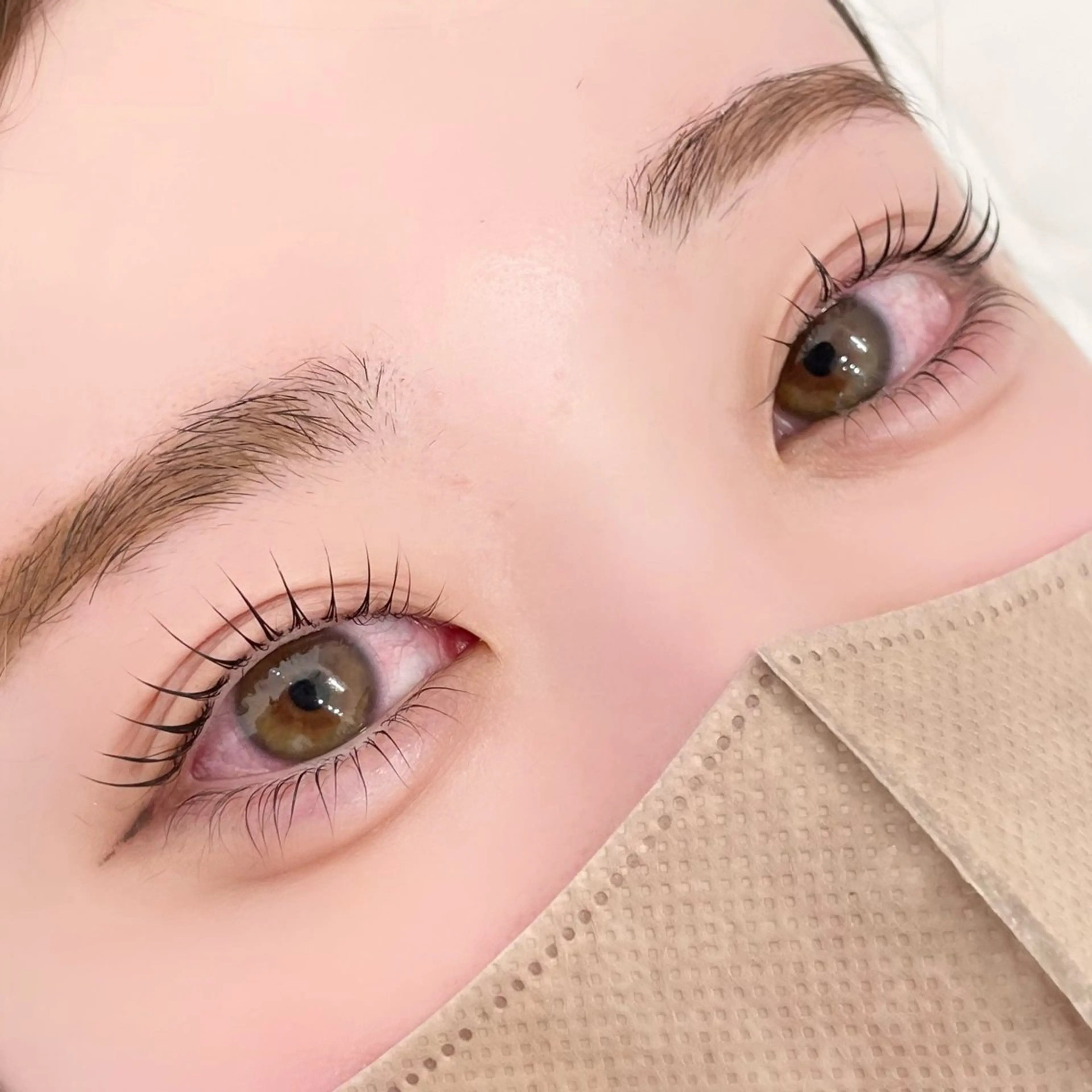 3回目まで可能！ラッシュリフト上下セットメニュー✨パリジェンヌラッシュリフトに変更可🙆🏻‍♀️◎の写真