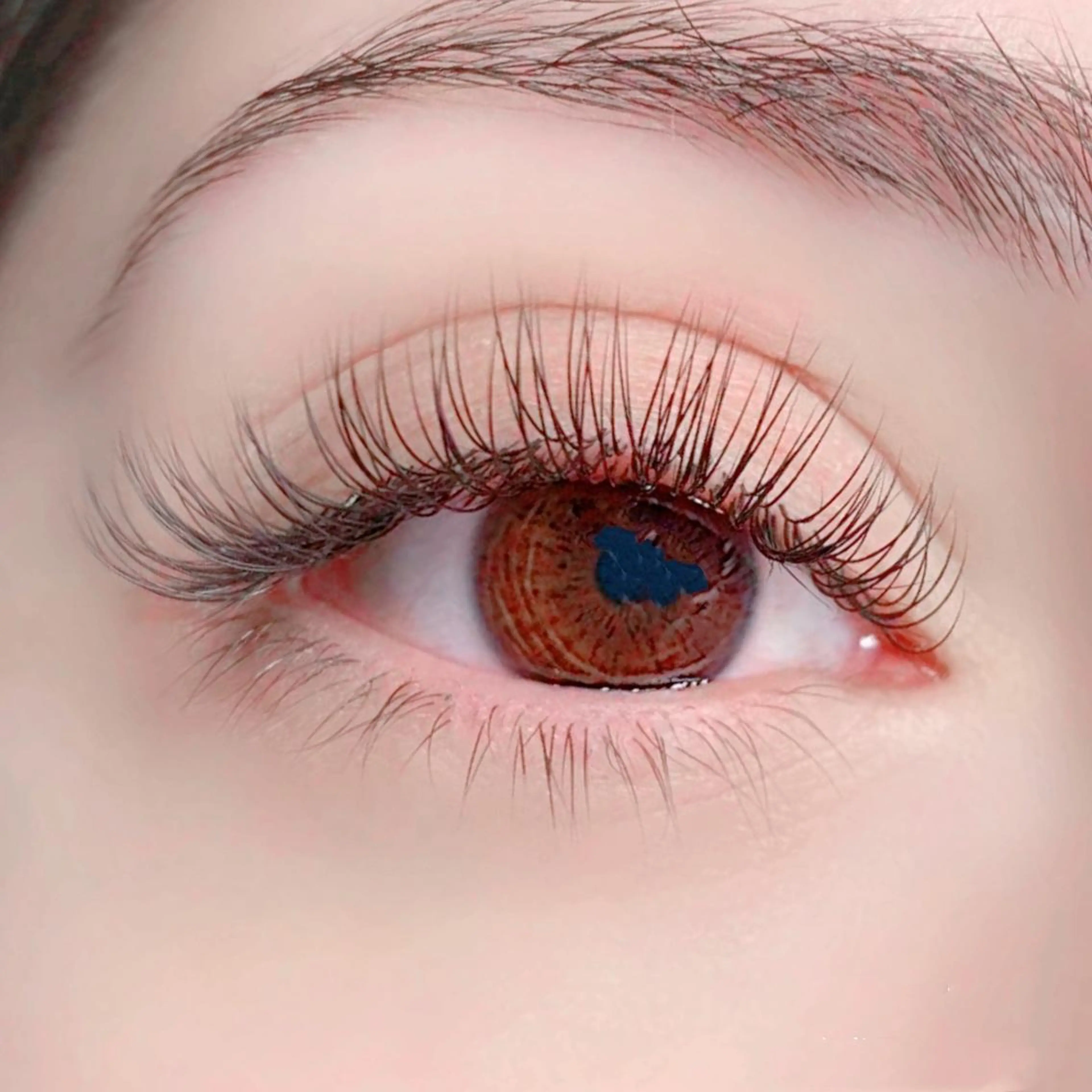 【オフ無料★】エクステ3Dボリュームラッシュ300本 コーティング付の写真