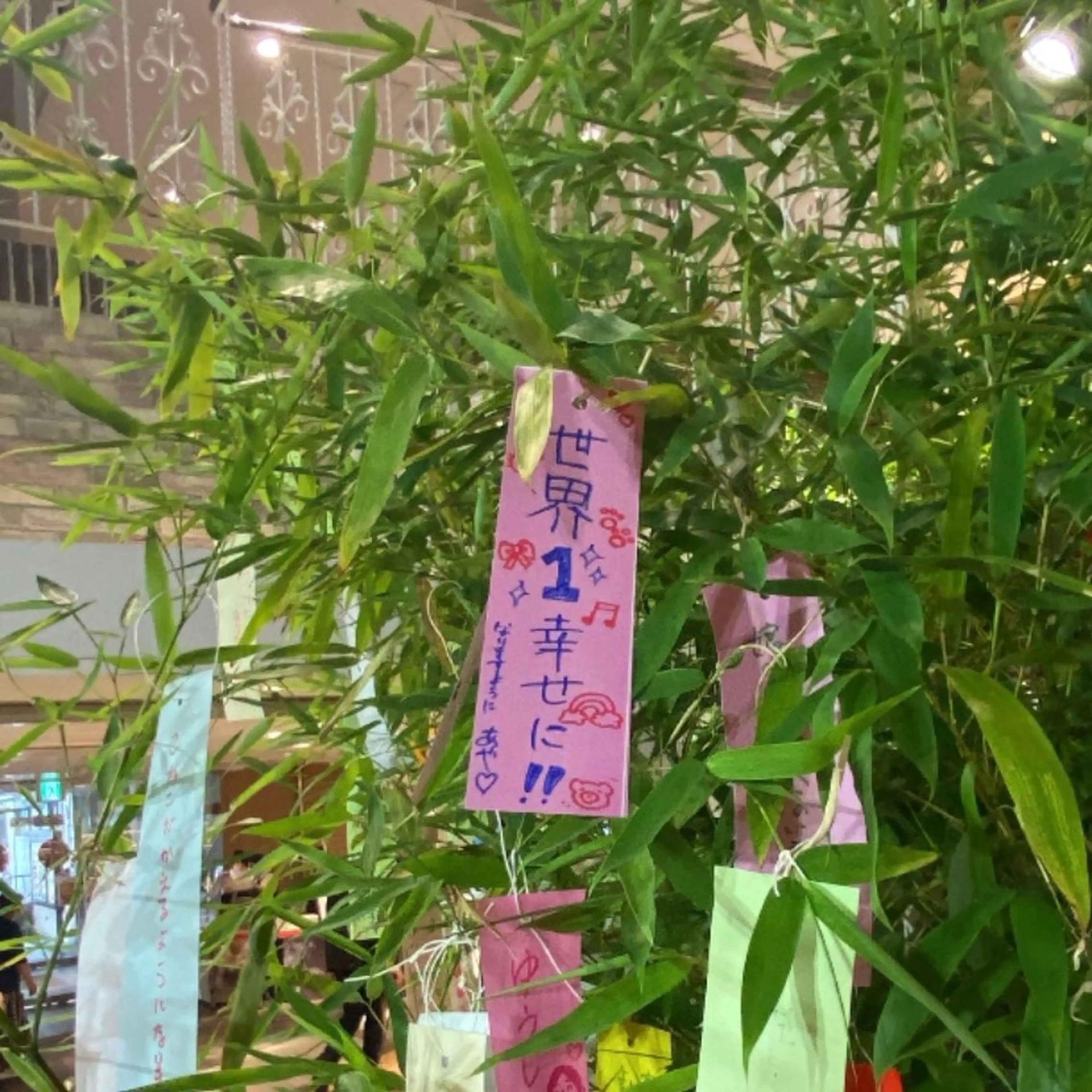 マツエク・マツパ 國井  綾 🧸💭💞のマツエク・マツパデザイン