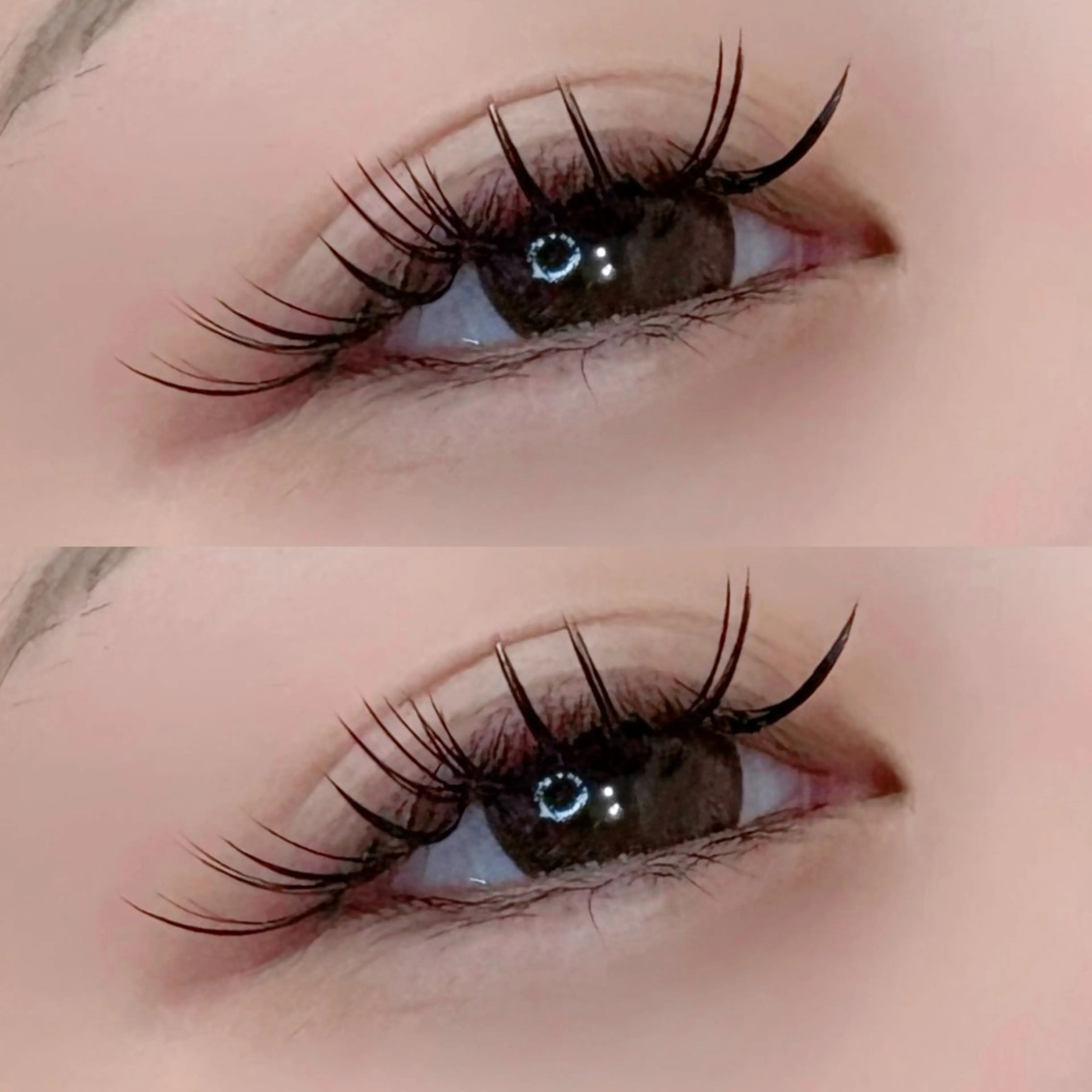 💝バインドロック💝保証80束まで/オフなしの方/LED＋500円の写真