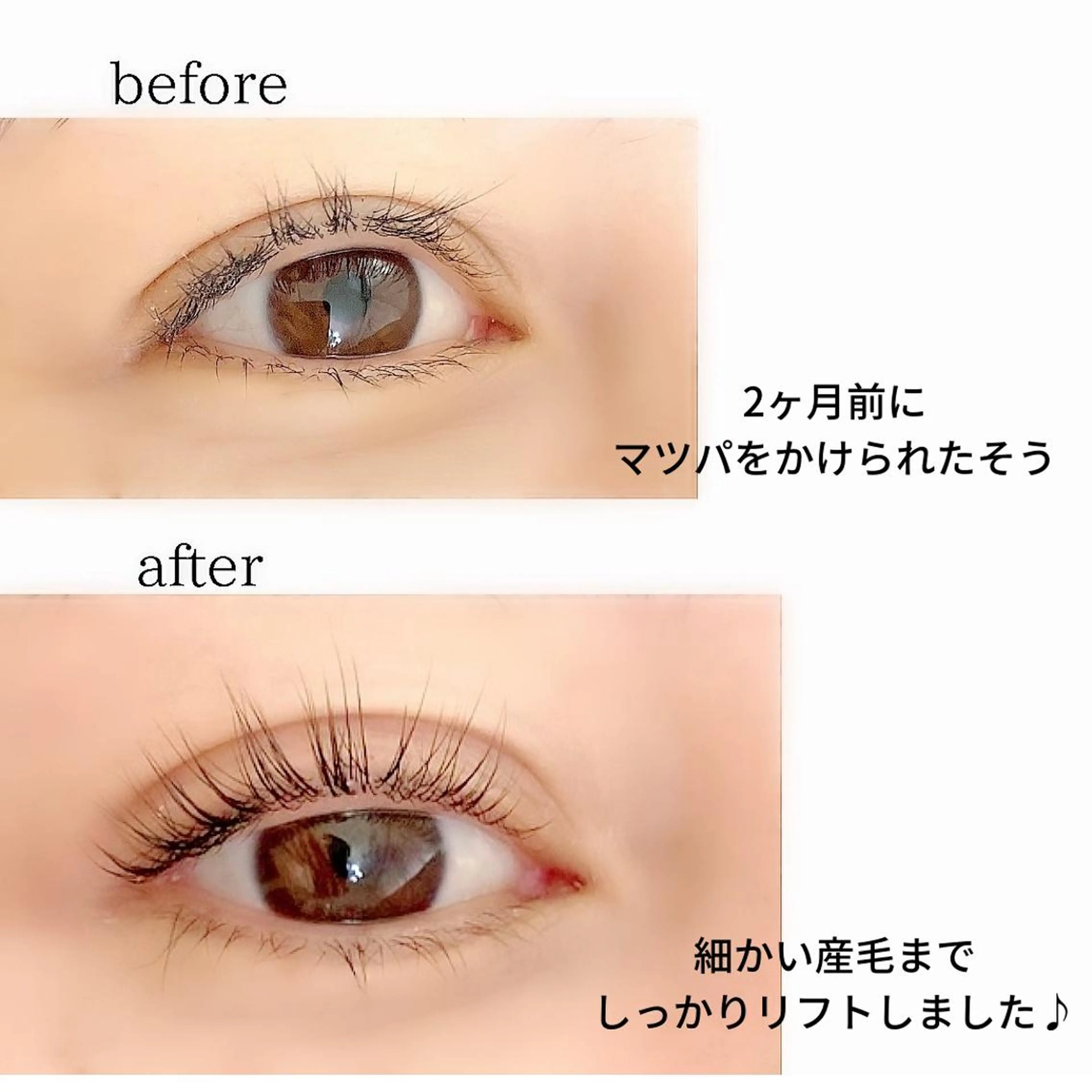 マツエク・マツパ 横浜 eyelist 🌼マキのマツエク・マツパデザイン