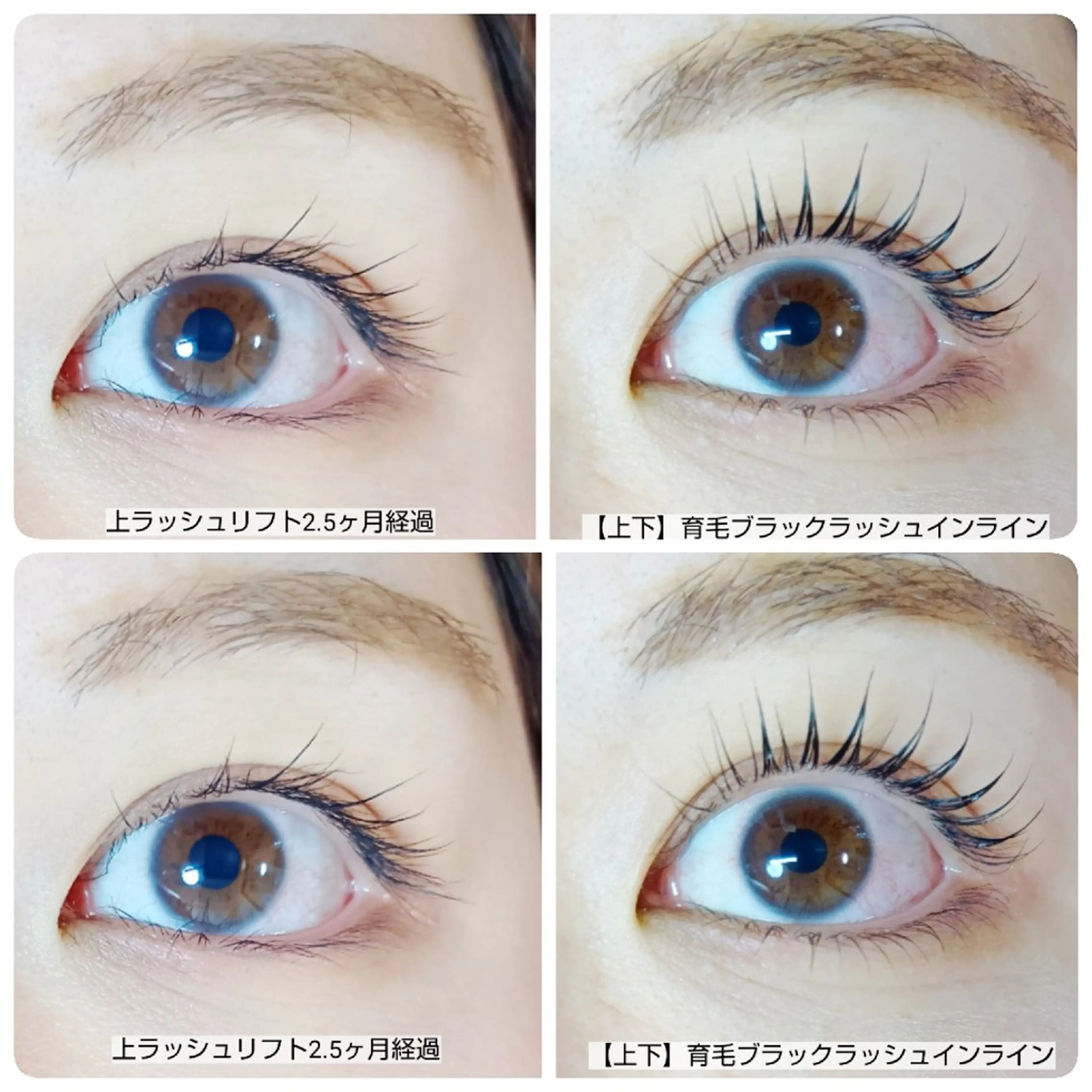 マツエク・マツパ 🎼グラデーション スタイル札幌♫*⁠✧のマツエク・マツパデザイン