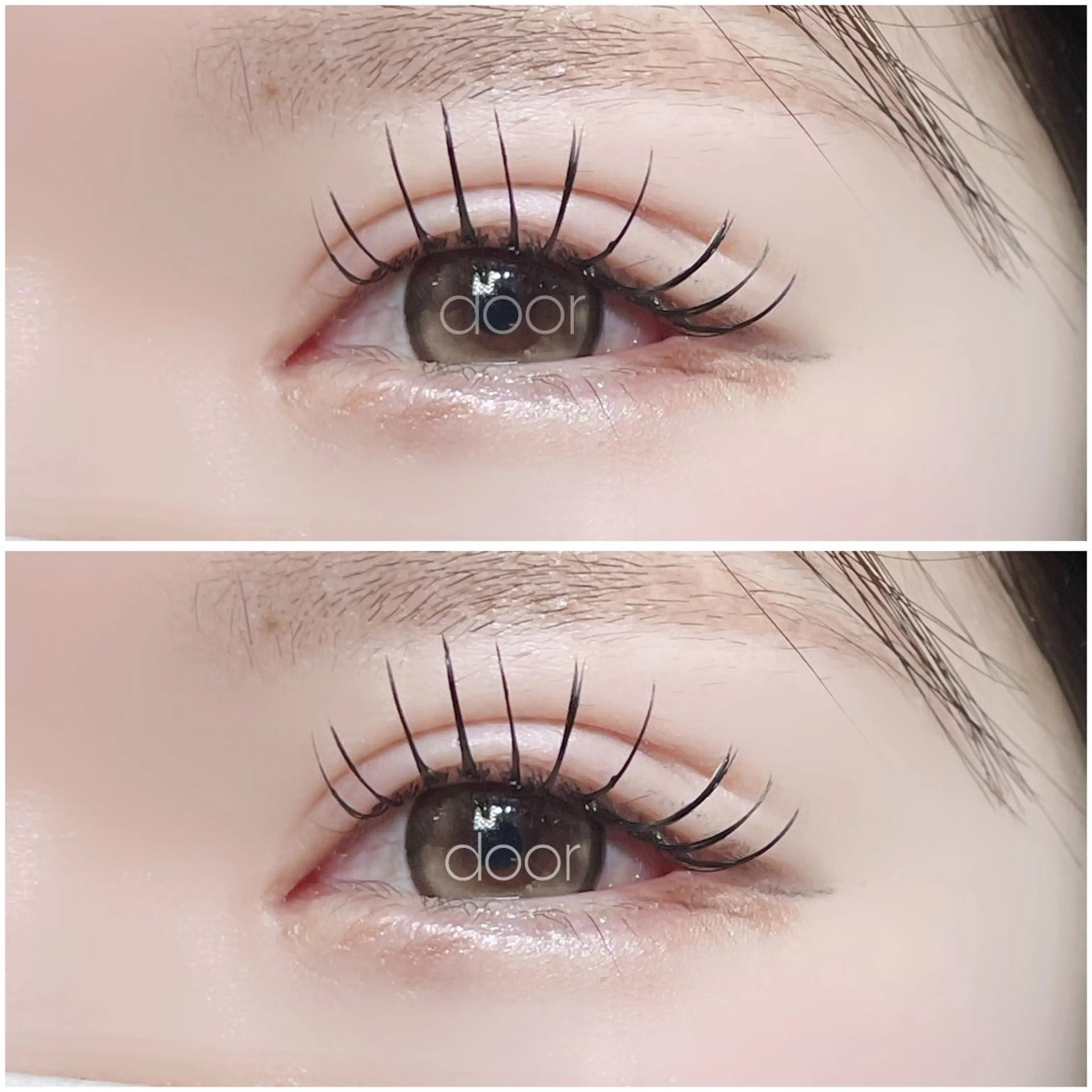 ＆Healthy×LED×フラットラッシュ120本✨根元からぱっちり長持ちデザインの写真