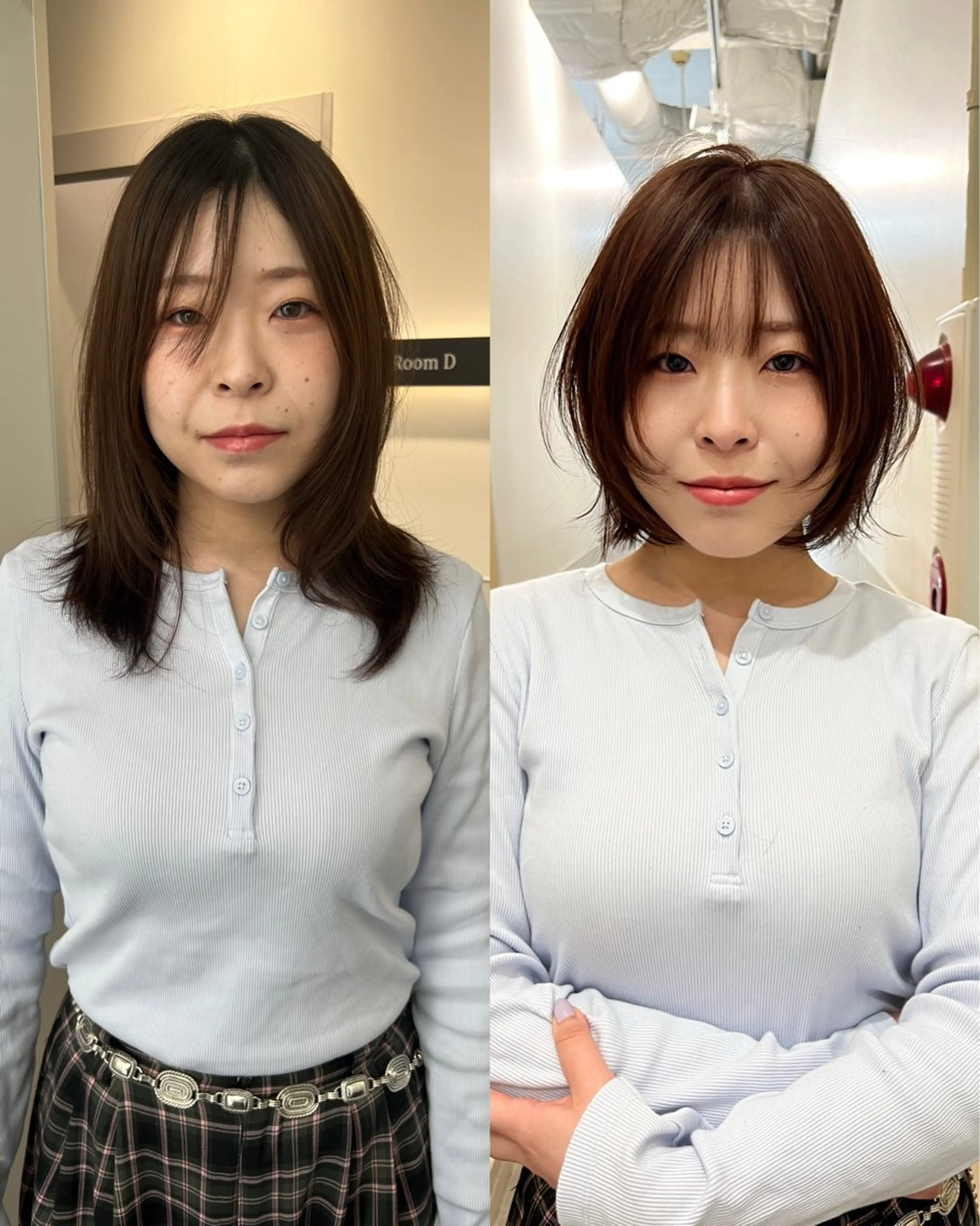 レイヤーボブの写真