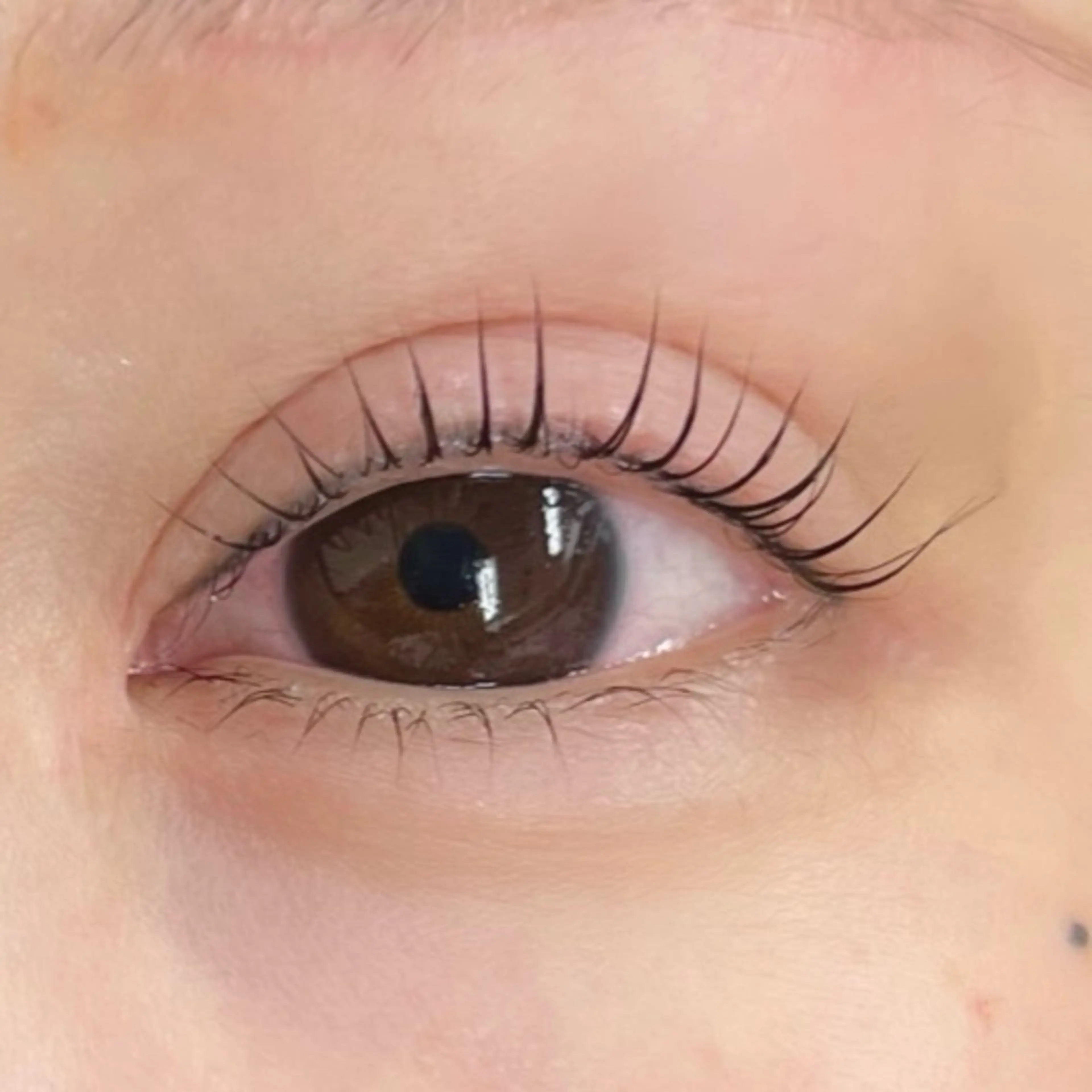 マツエク・マツパ Moe/韓国風/ 束感/キュート❤︎のマツエク・マツパデザイン