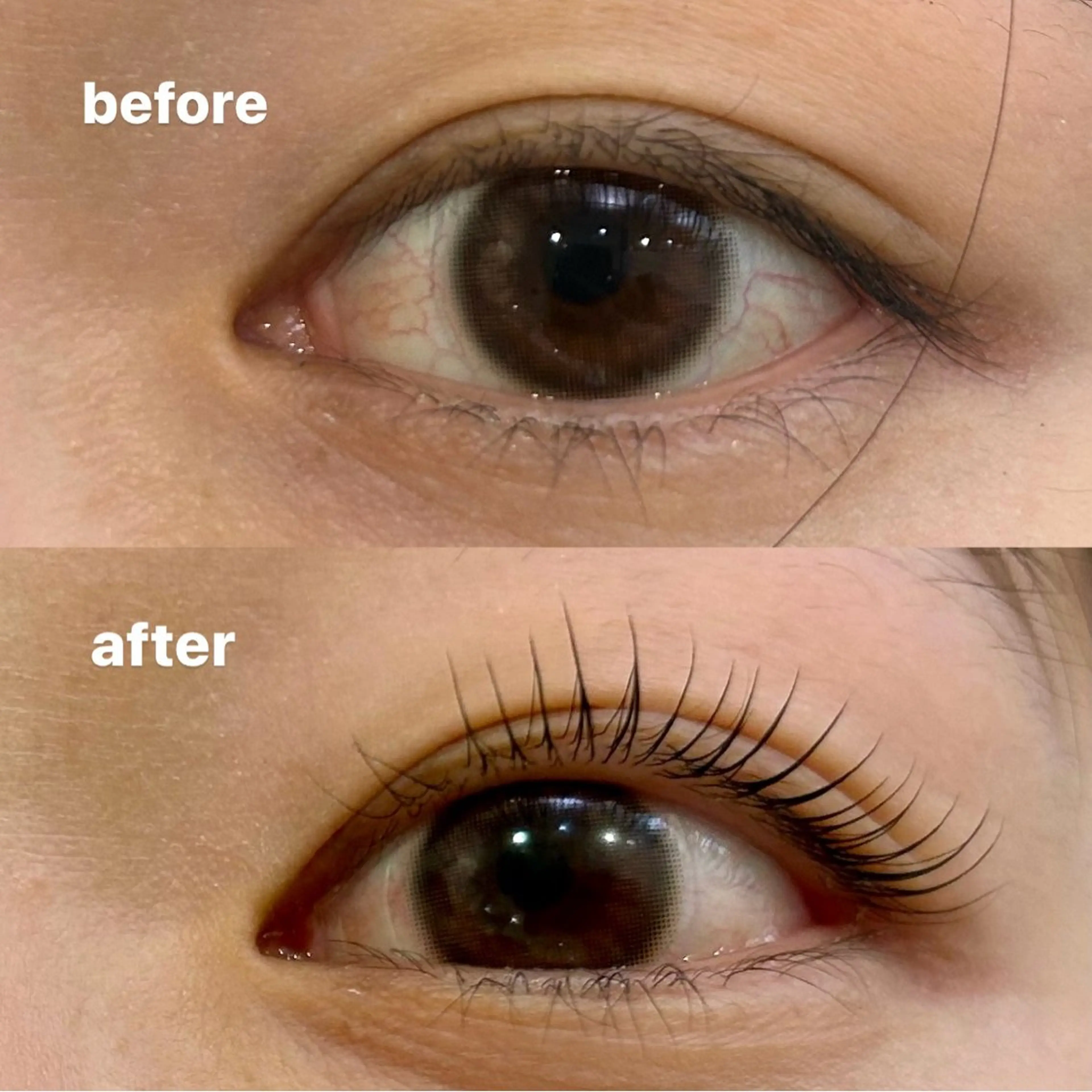 ケラチンラッシュリフト＋美眉スタイリング🥂‎‎🤍の写真