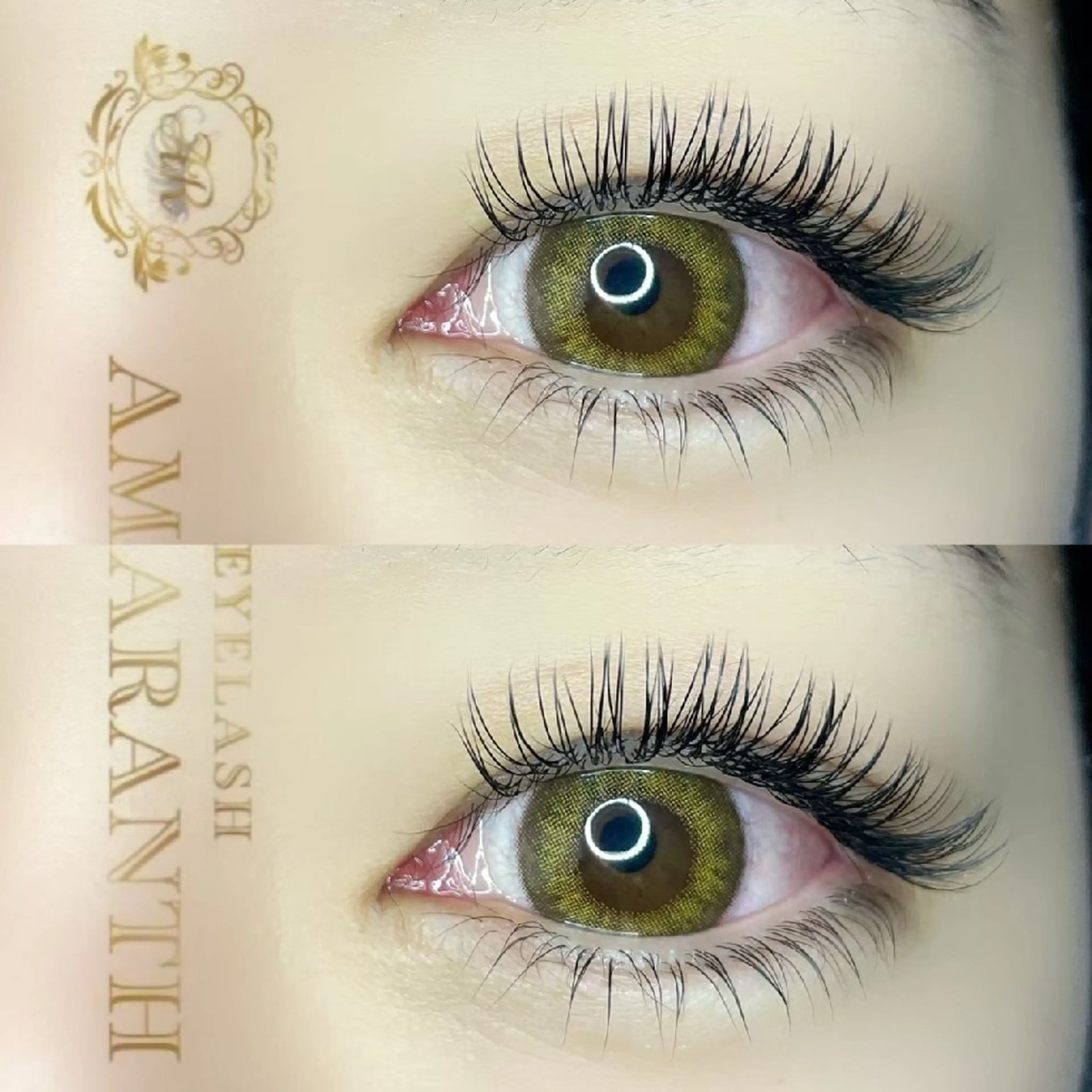 フラット×アップワードラッシュ100本 4500円の写真