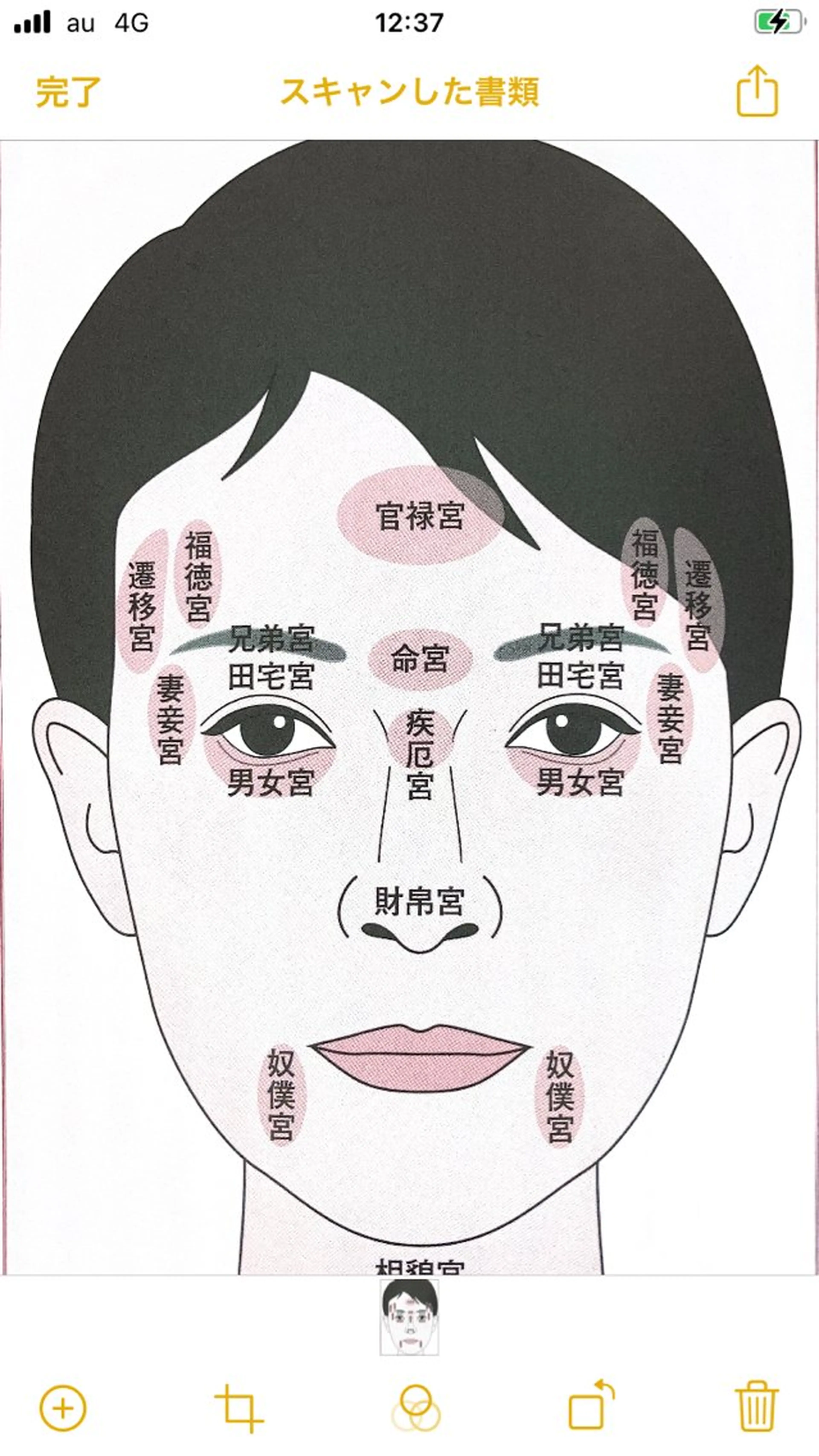 POLA DEANA所属・DEANA 美容健康studioのその他イメージ