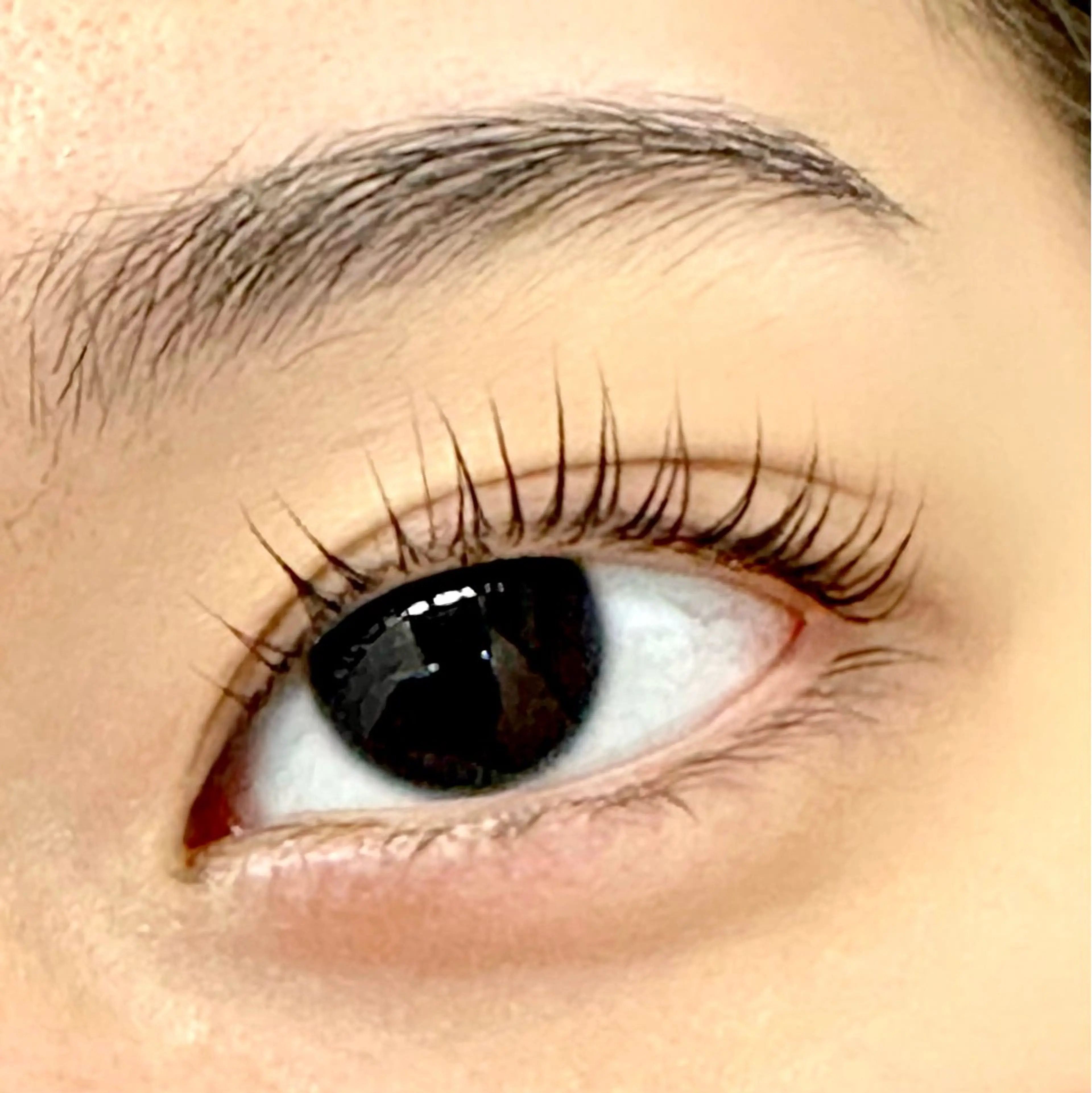 マツエク・マツパ マツパ Lily 船橋　髙田 寛子のマツエク・マツパデザイン