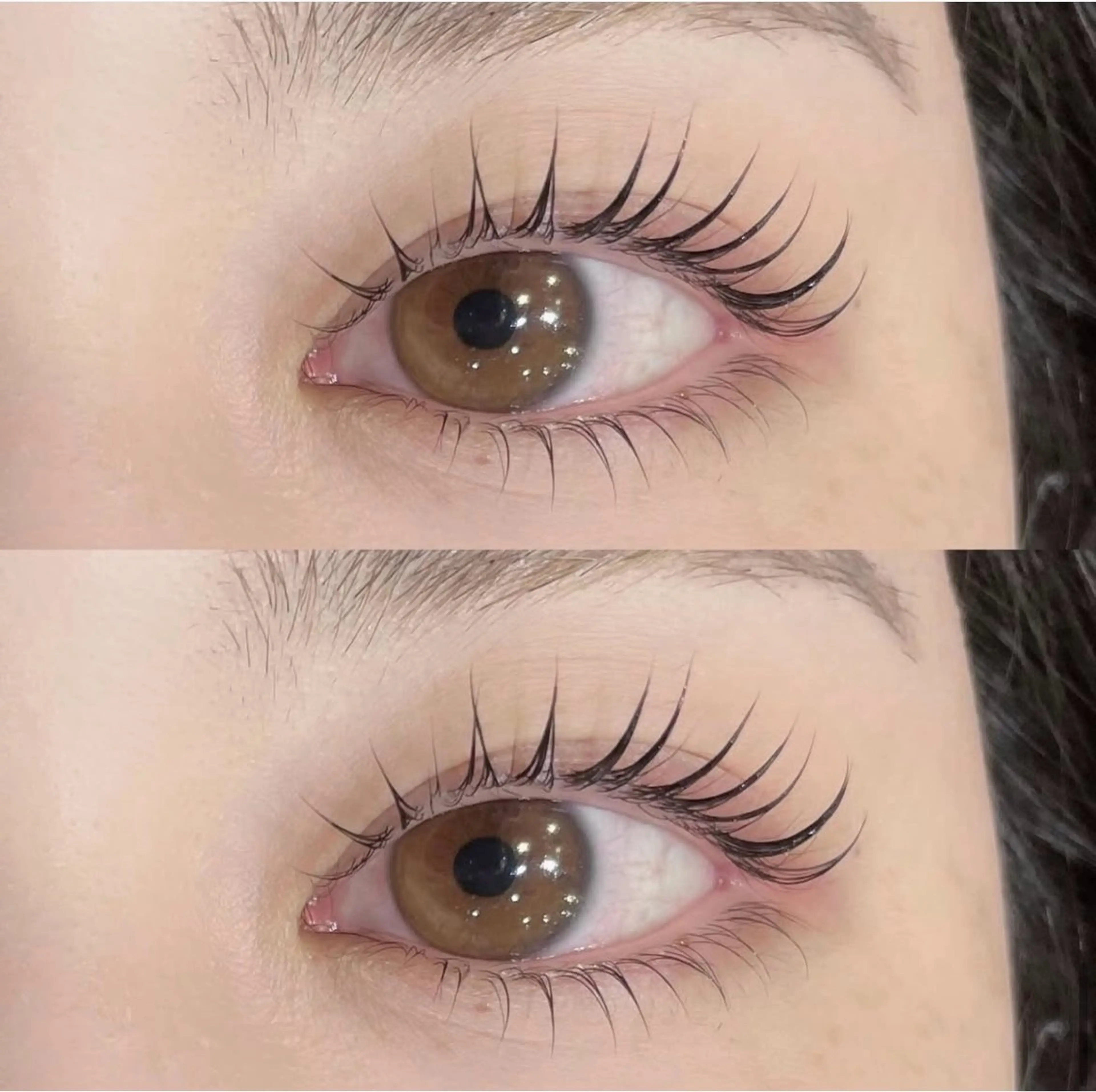 ⭐️パリジェンヌラッシュリフト(上下セット) 高濃度美容液2種付きの写真