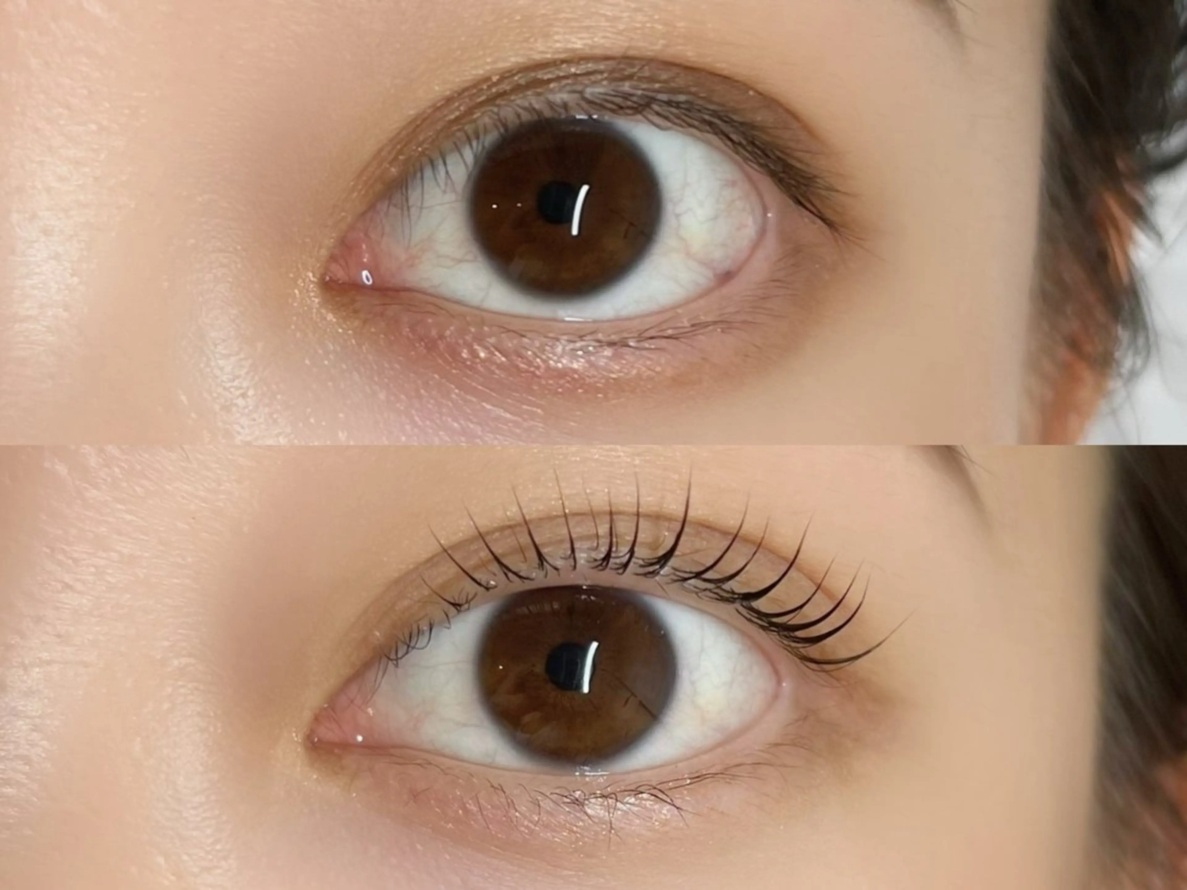 マツエク・マツパ 一重×まつ毛パーマ マツパ 恵比寿駅4分🩶 垢抜け眉&まつ毛🫧の眉毛・アイブロウイメージ